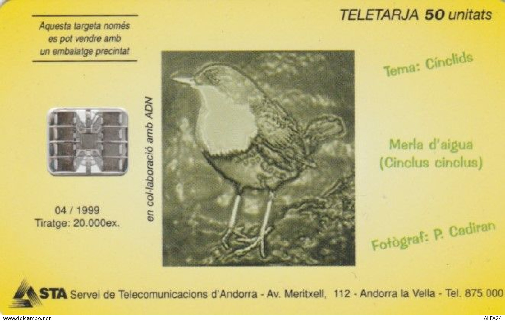 PHONE CARD ANDORRA (E61.21.4 - Andorre