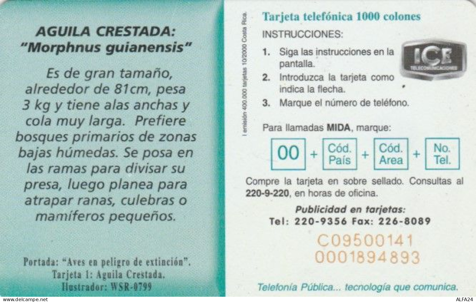 PHONE CARD COSTARICA (E61.16.6 - Costa Rica