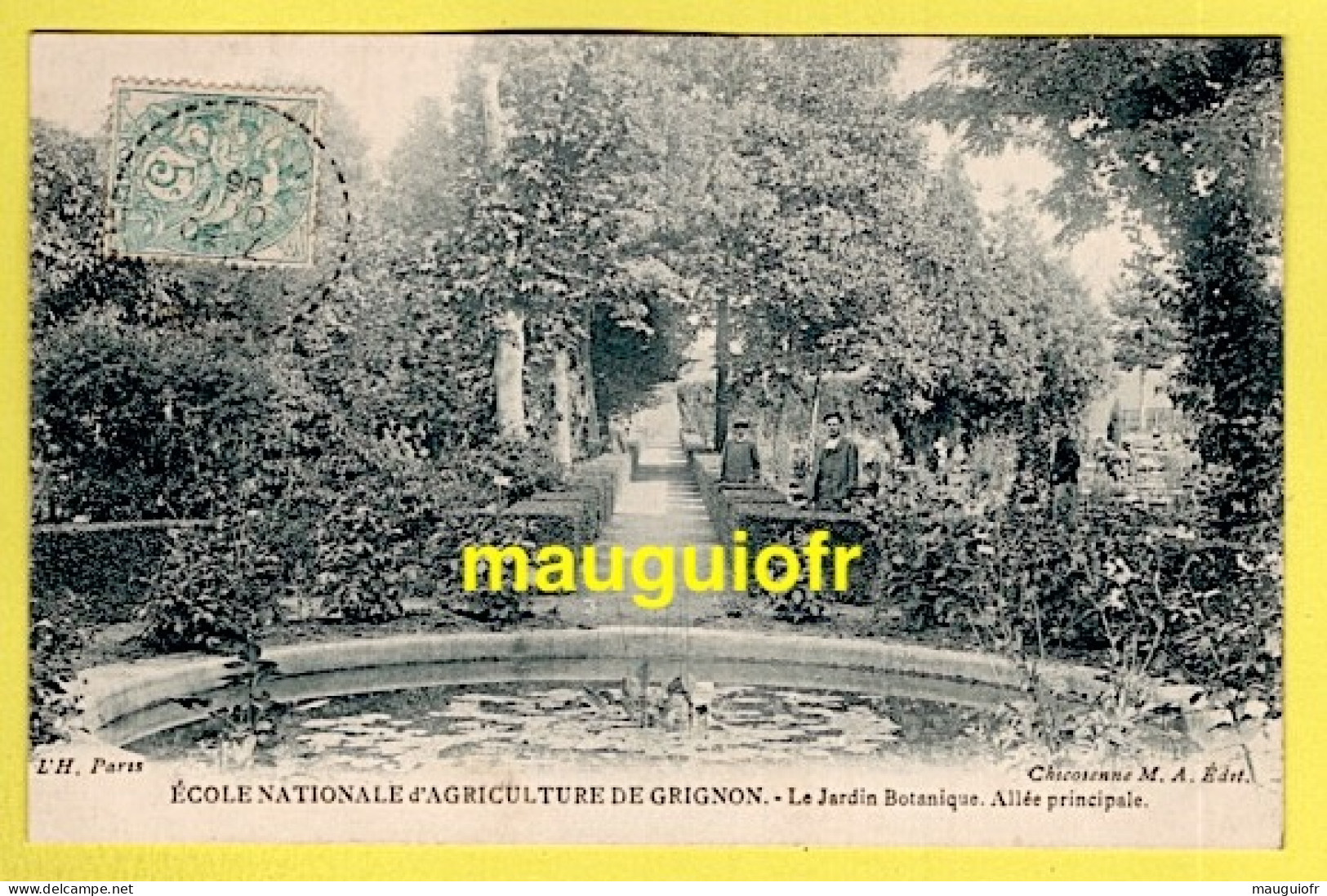 78 YVELINES / GRIGNON / ECOLE NATIONALE D'AGRICULTURE : ALLÉE PRINCIPALE DU JARDIN BOTANIQUE / ANIMÉE / 1906 - Grignon