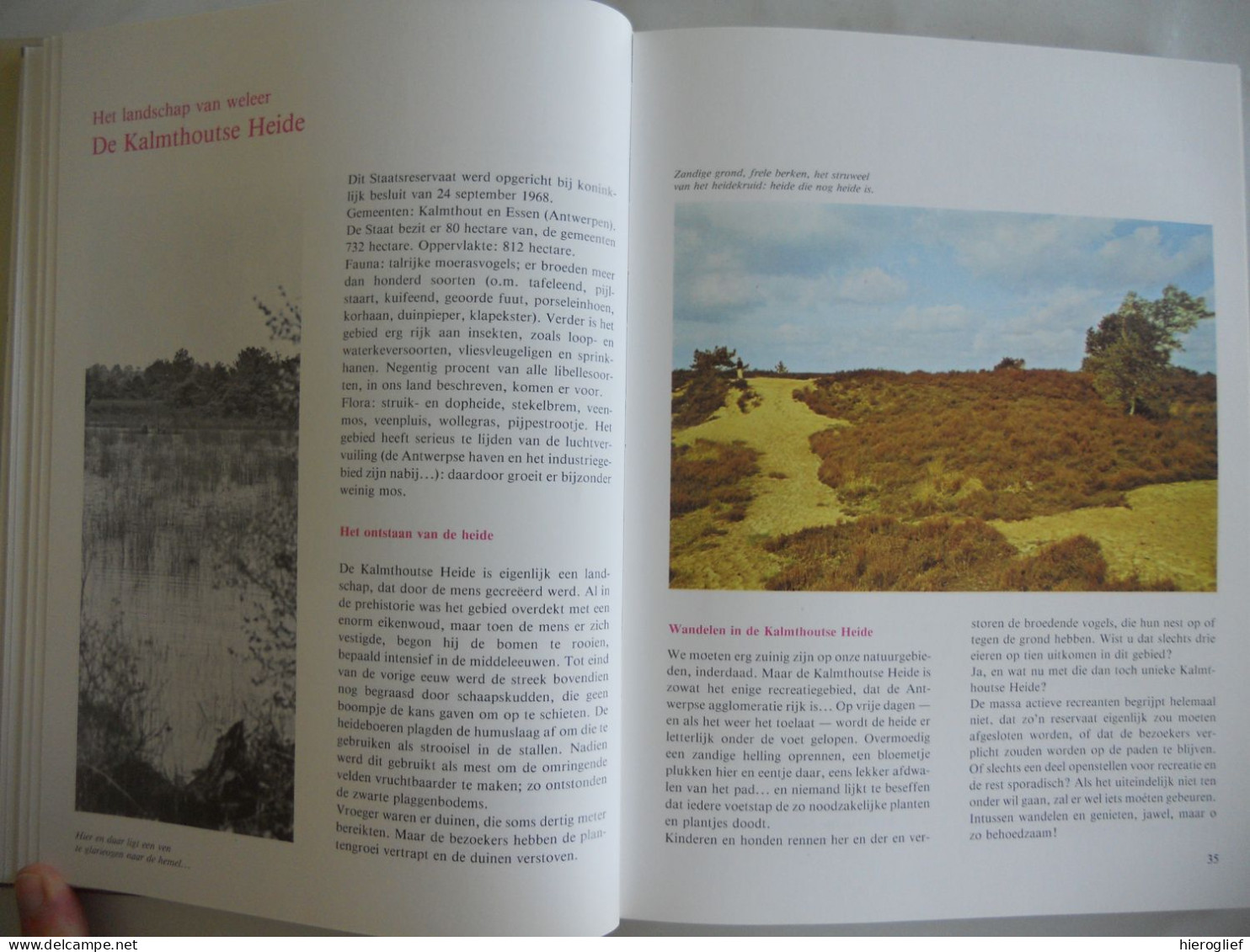 VAN NOORDZEESTRAND TOT HOGE VENEN Een Reiswijs Beeldboek / Kust Noordzee Strand Natuur Julien Van Remoortere - Sonstige & Ohne Zuordnung