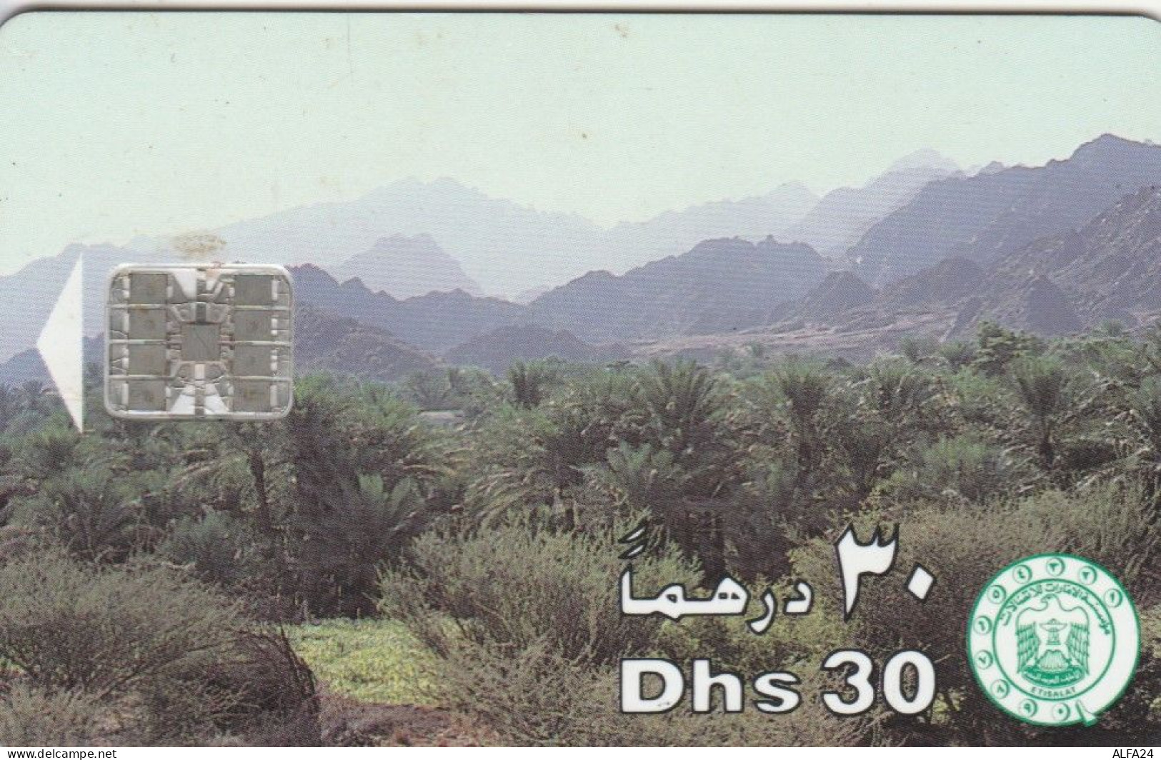 PHONE CARD EMIRATI ARABI (E66.3.1 - Ver. Arab. Emirate