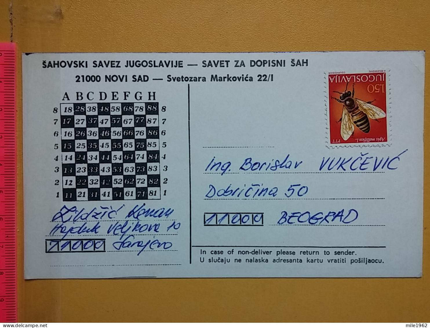 KOV 487-24- Correspondence Chess Fernschach Postcard, SARAJEVO - BELGRADE, Schach Chess Ajedrez échecs - Schaken