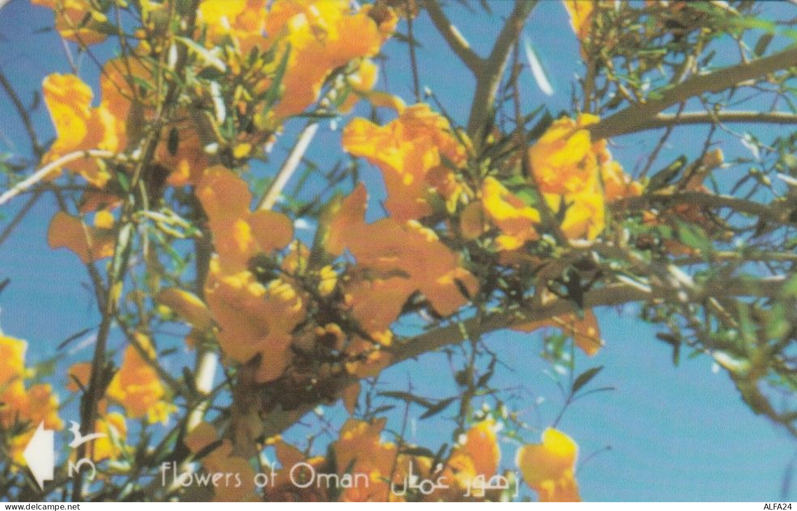 PHONE CARD OMAN (E69.16.8 - Oman