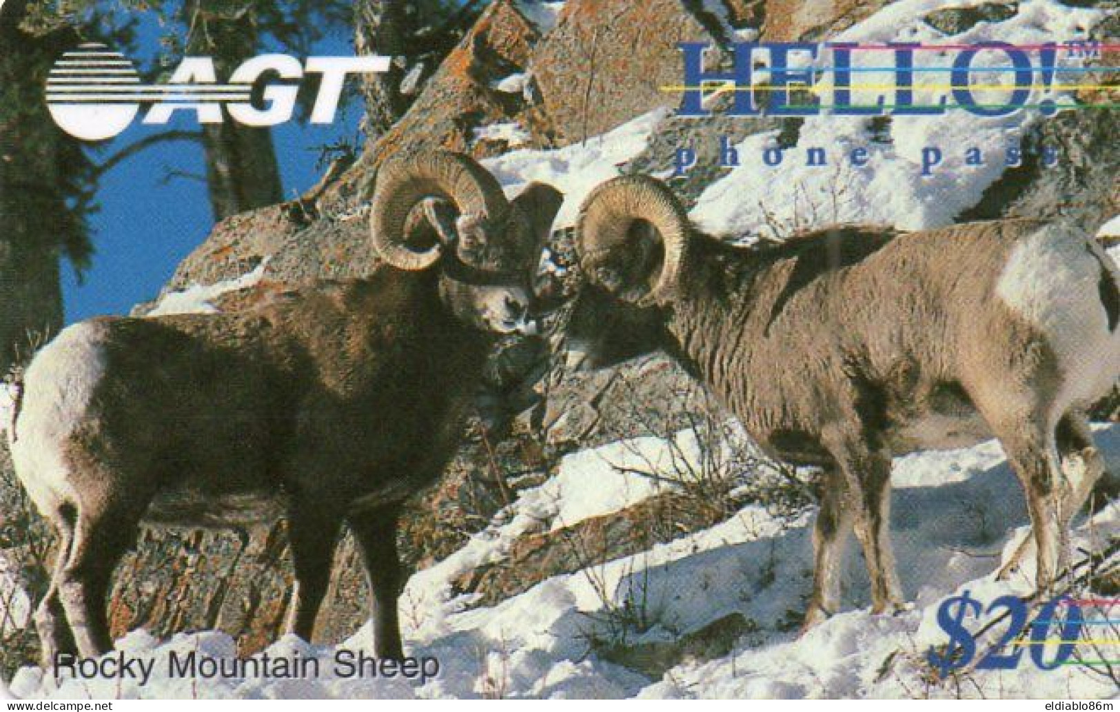 CANADA - PREPAID - AGT - HELLO PHONE PASS - ANIMAL - ROCKY MOUNTAIN SHEEP - MINT (WITH MAGNETIC STRIP) - Kanada