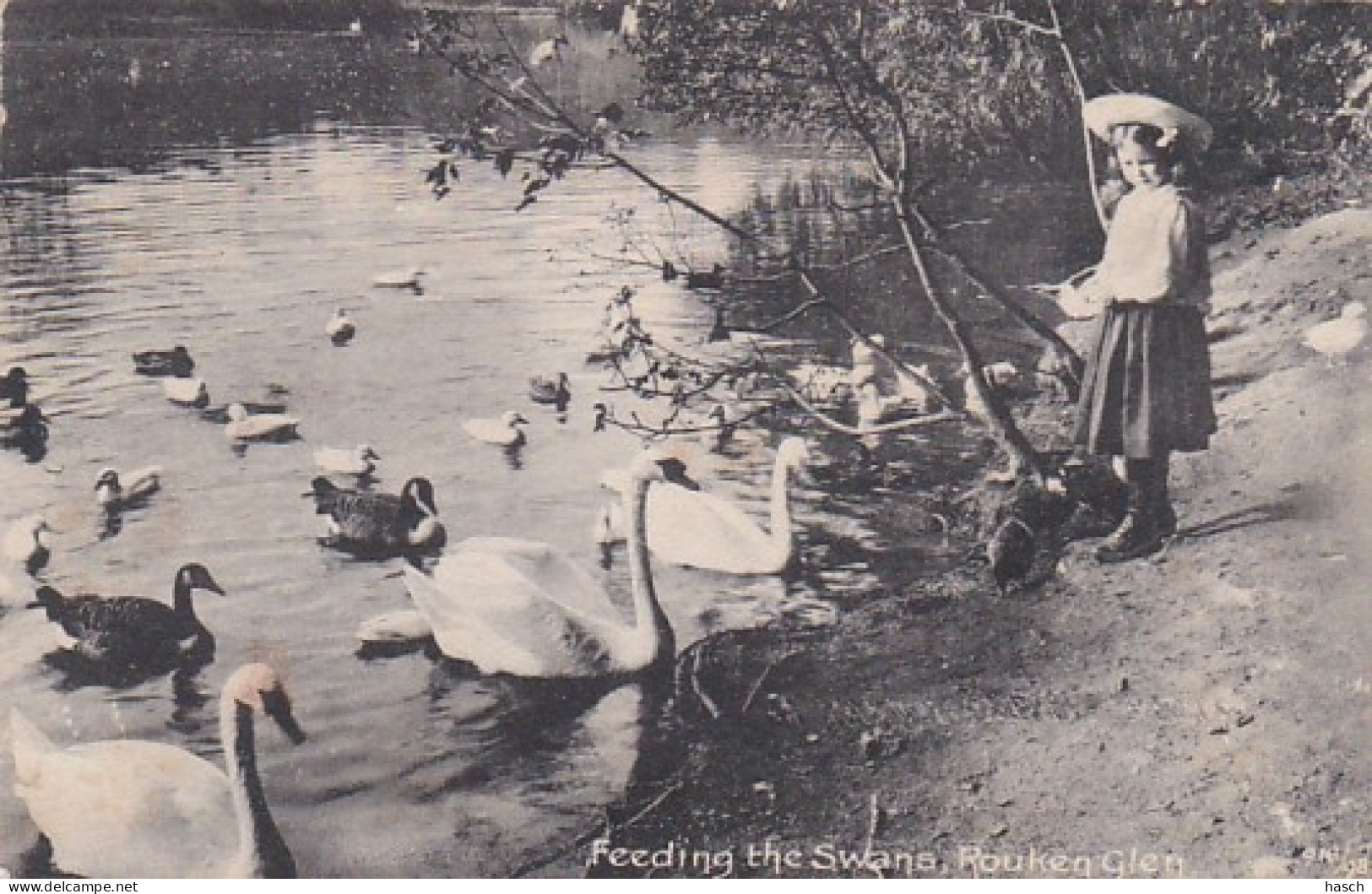 487466Rouken Glen, Feeding The Swans. 1920.  - Renfrewshire
