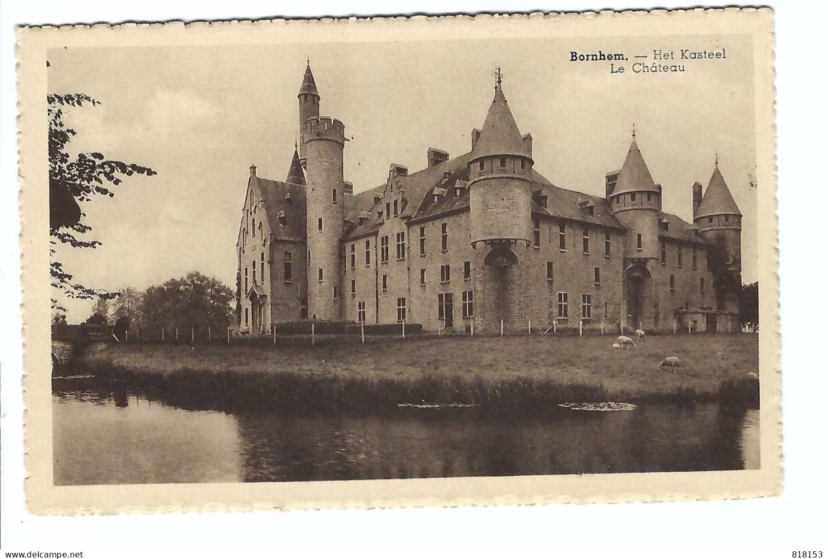 Bornem   -  Het Kasteel  Le Château - Bornem