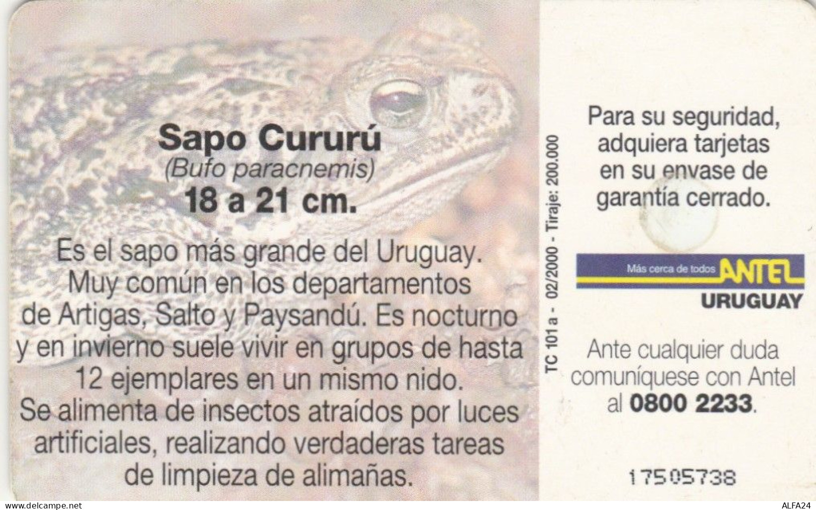 PHONE CARD URUGUAY (E72.40.2 - Uruguay