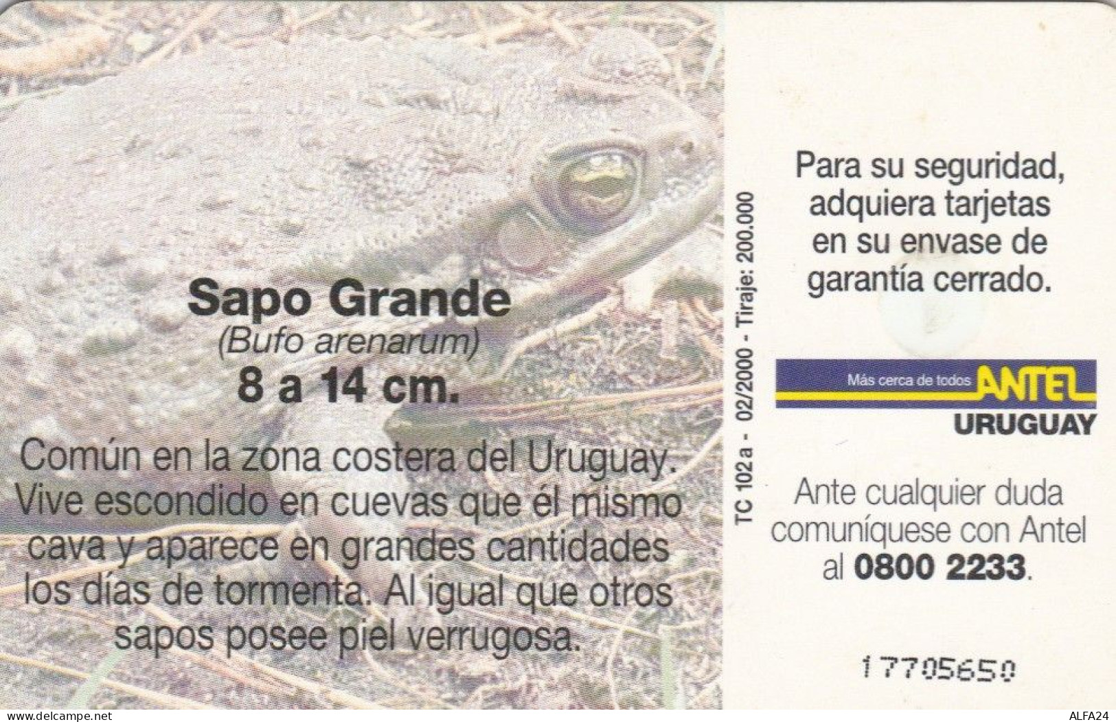 PHONE CARD URUGUAY (E72.23.5 - Uruguay