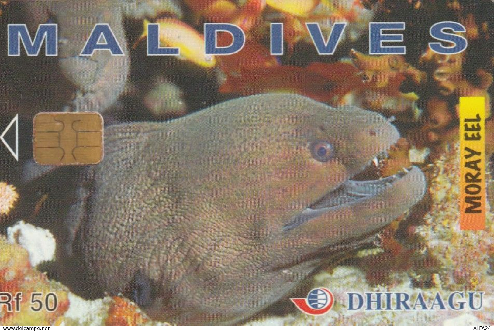 PHONE CARD MALDIVE (E72.23.1 - Maldivas