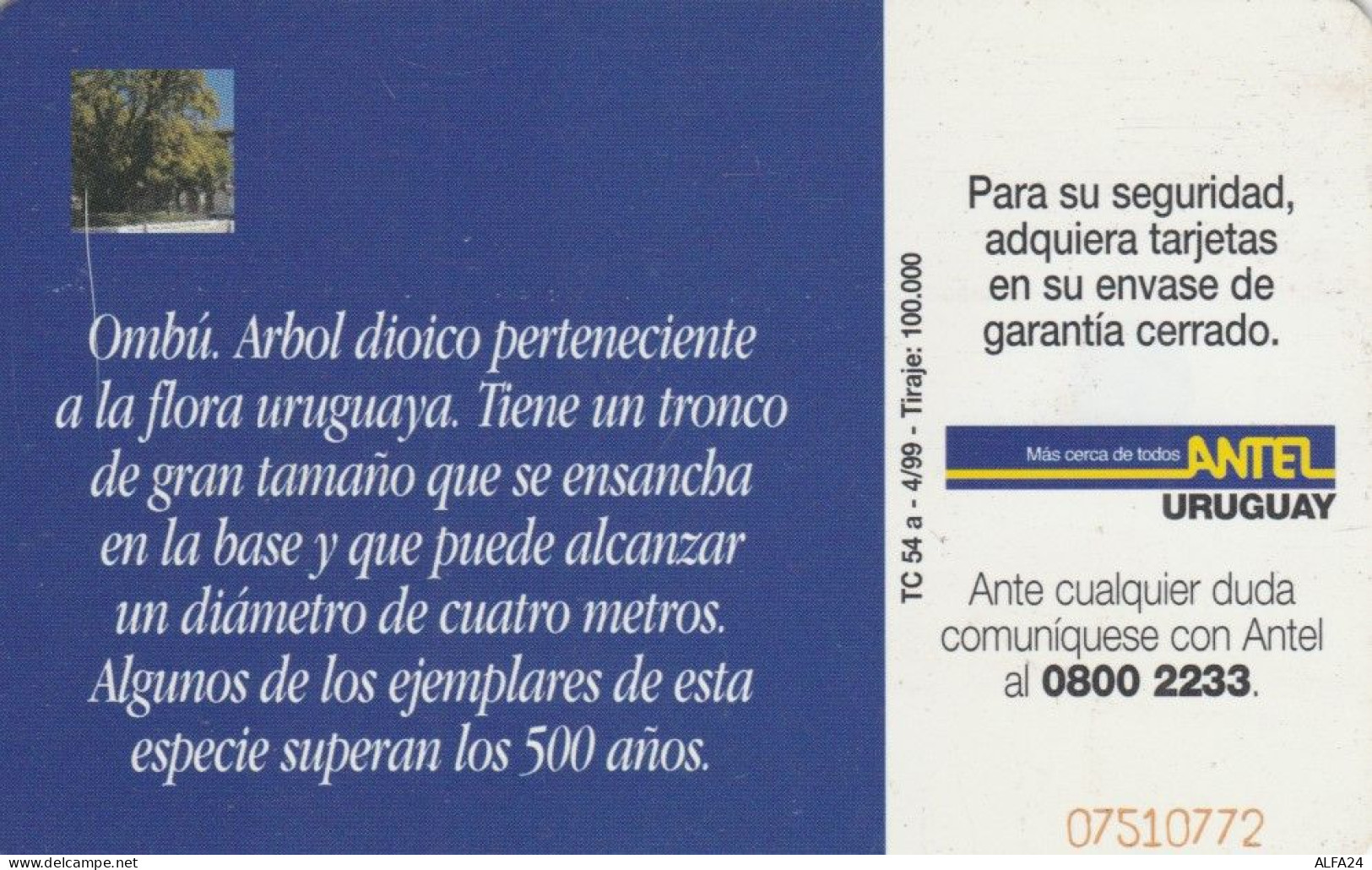 PHONE CARD URUGUAY (E72.17.7 - Uruguay