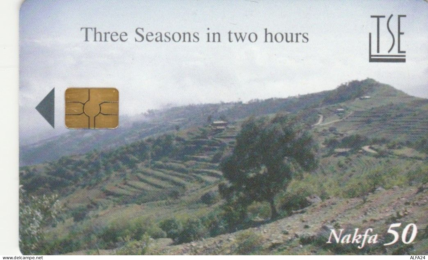 PHONE CARD ERITREA (E72.16.4 - Erythrée