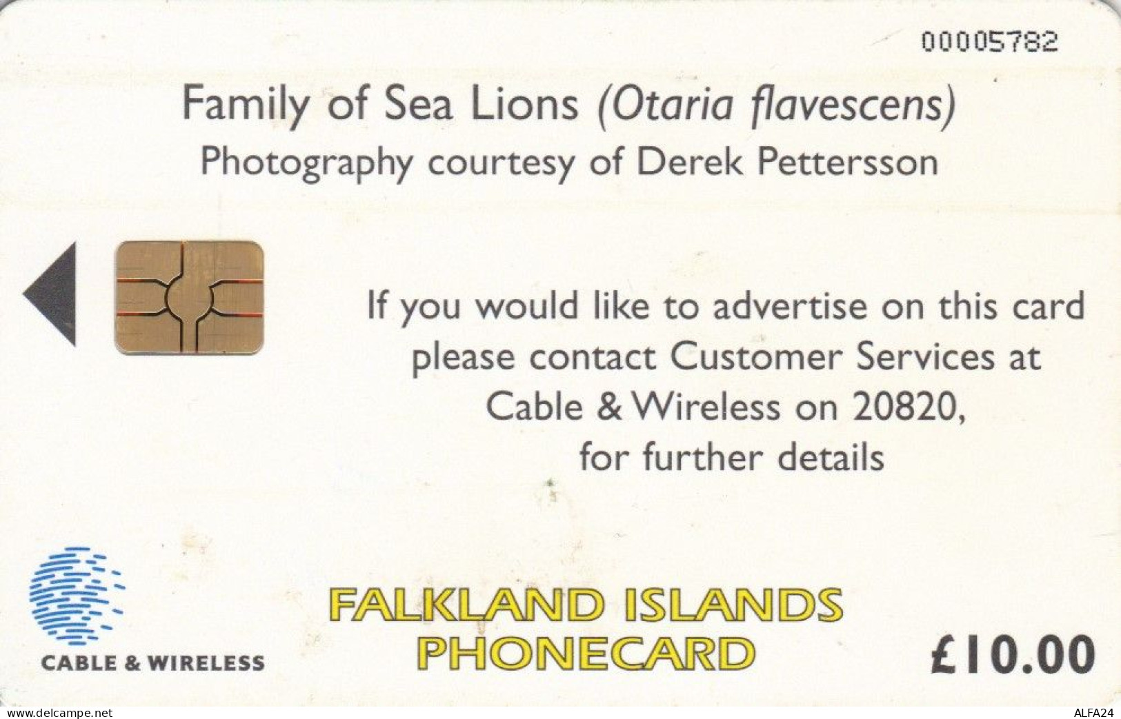 PHONE CARD FALKLAND (E72.13.7 - Falkland