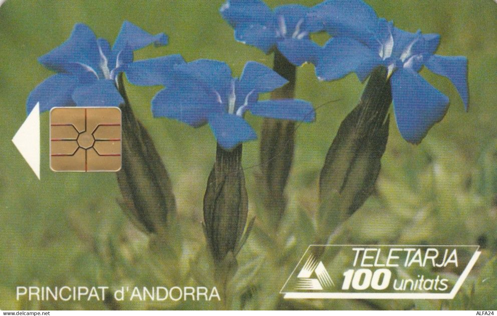 PHONE CARD ANDORRA (E72.11.2 - Andorre