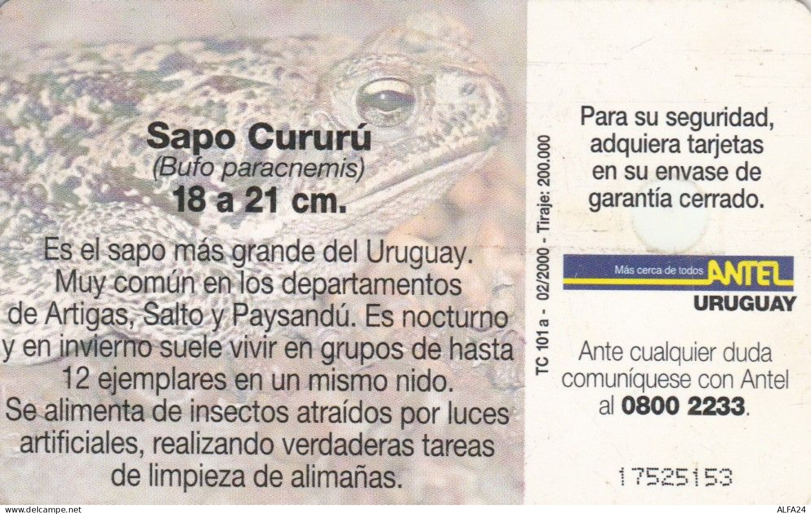 PHONE CARD URUGUAY (E72.9.3 - Uruguay