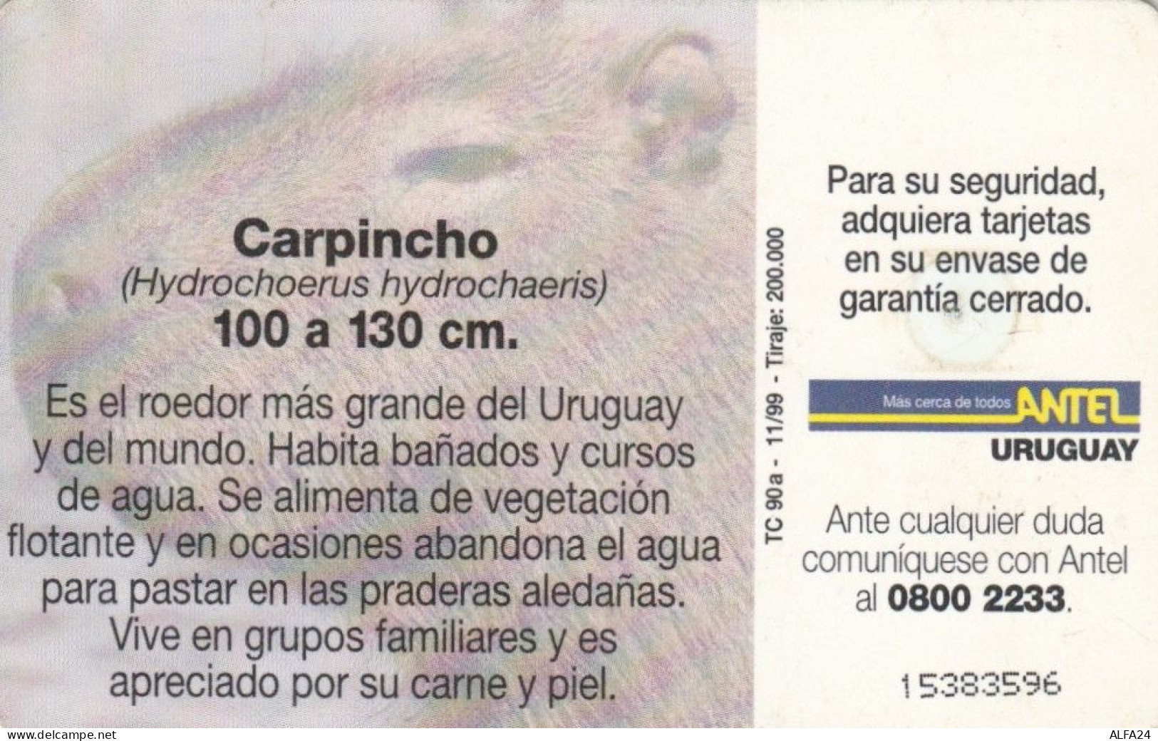 PHONE CARD URUGUAY (E72.6.8 - Uruguay