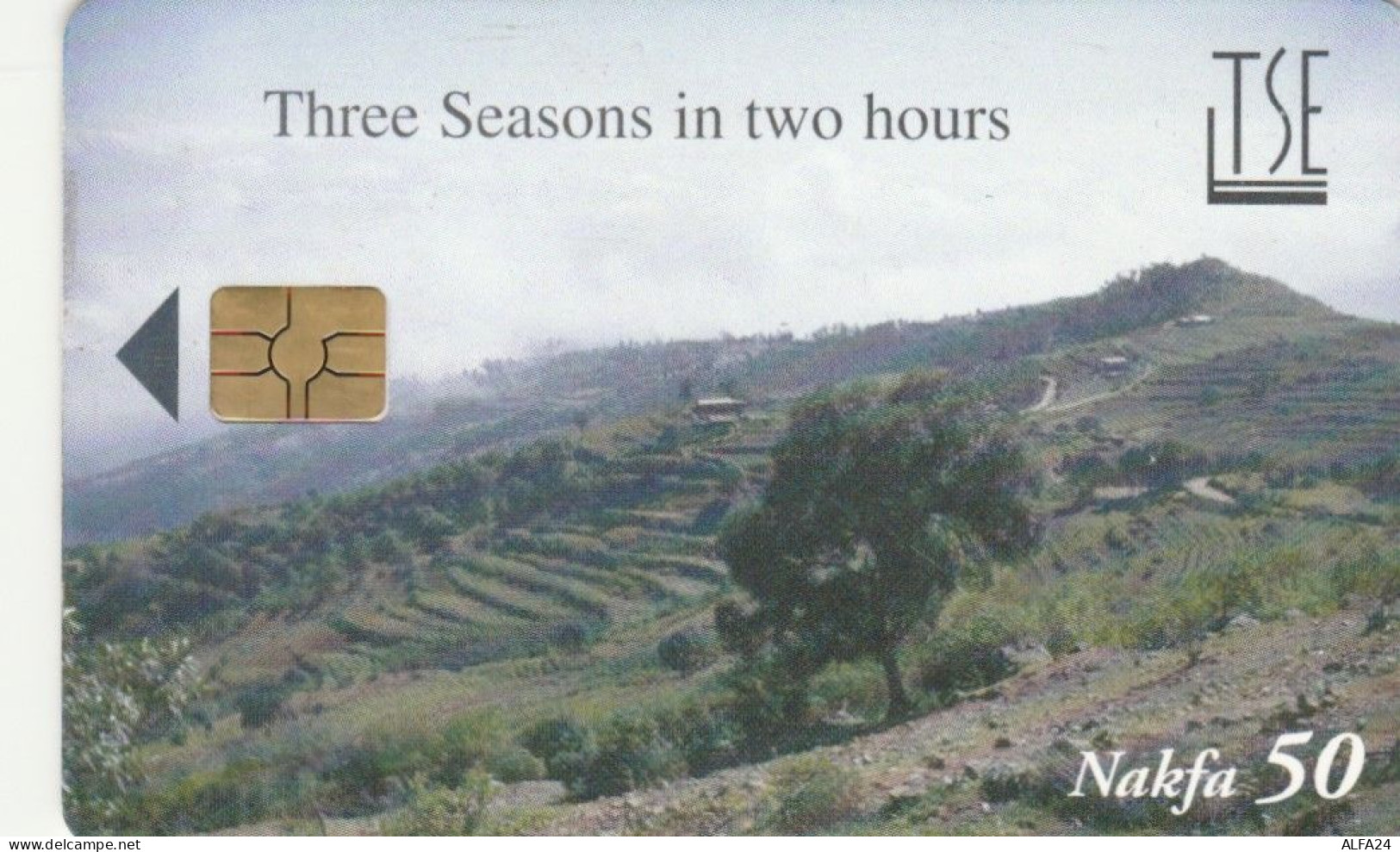 PHONE CARD ERITREA (E72.7.8 - Eritrea