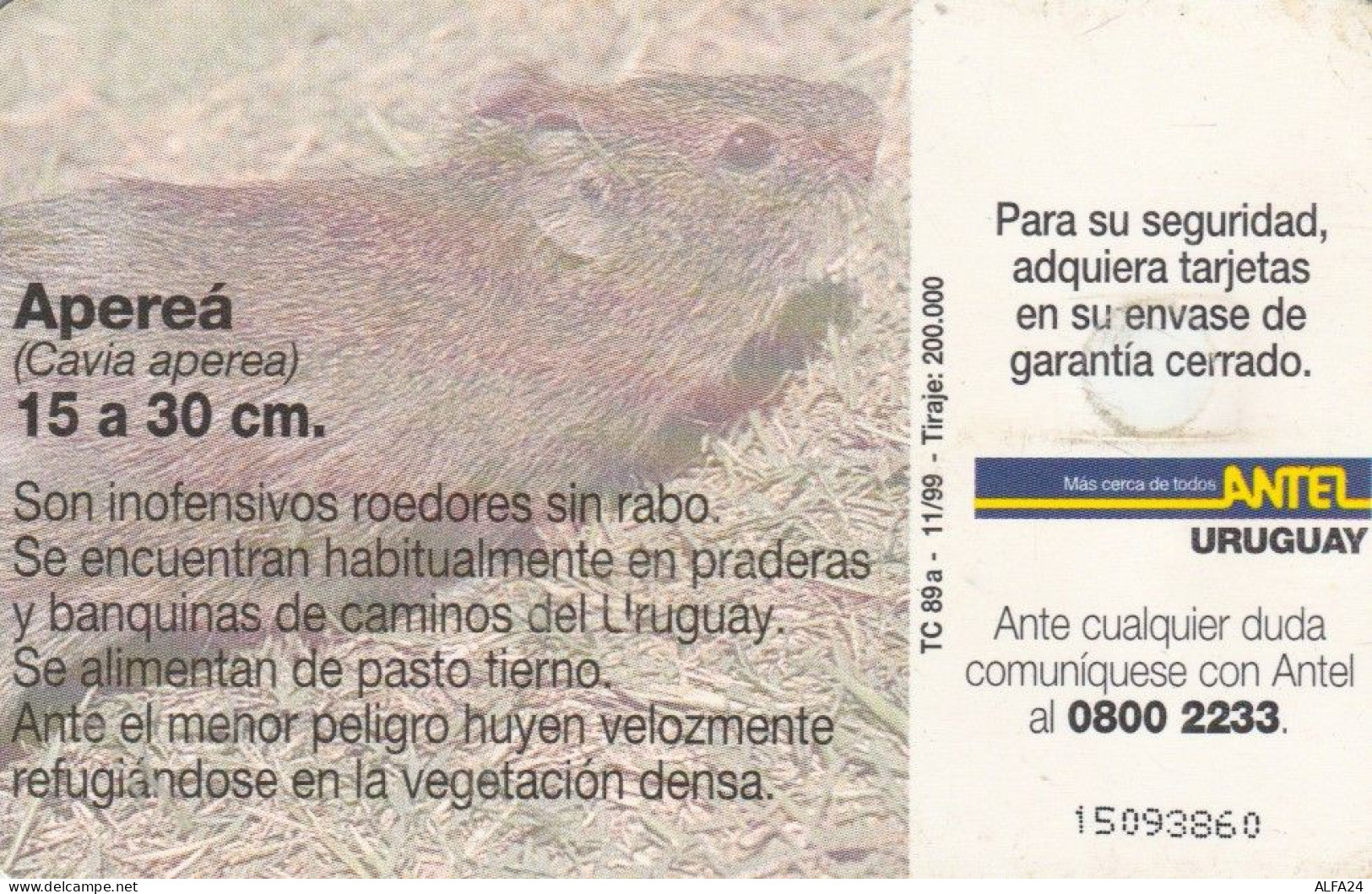 PHONE CARD URUGUAY (E72.3.3 - Uruguay
