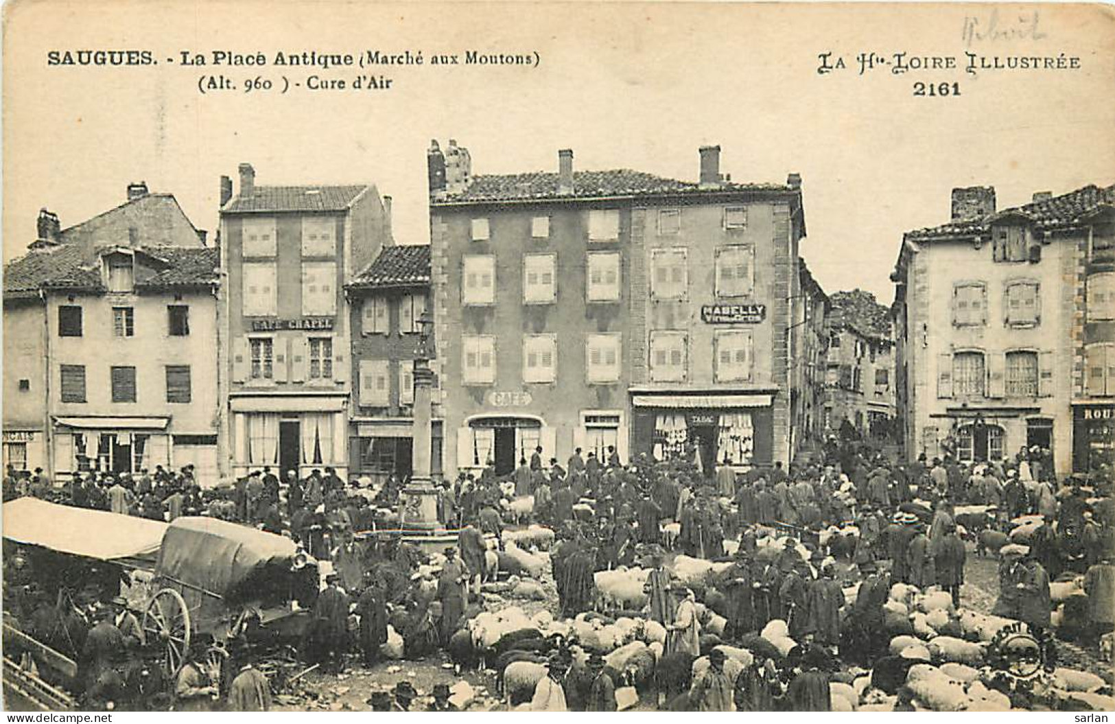 43 , SAUGUES , Place Antique , Marché Aux Moutons , * CF 367 19 - Saugues