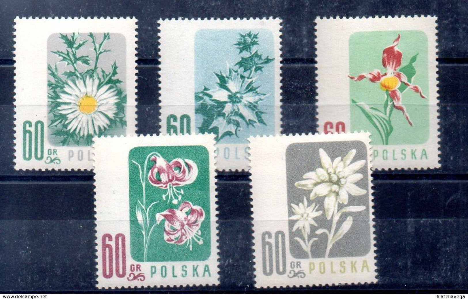 Polonia Serie Nº Yvert 904/08 ** FLORES (FLOWERS) - Neufs