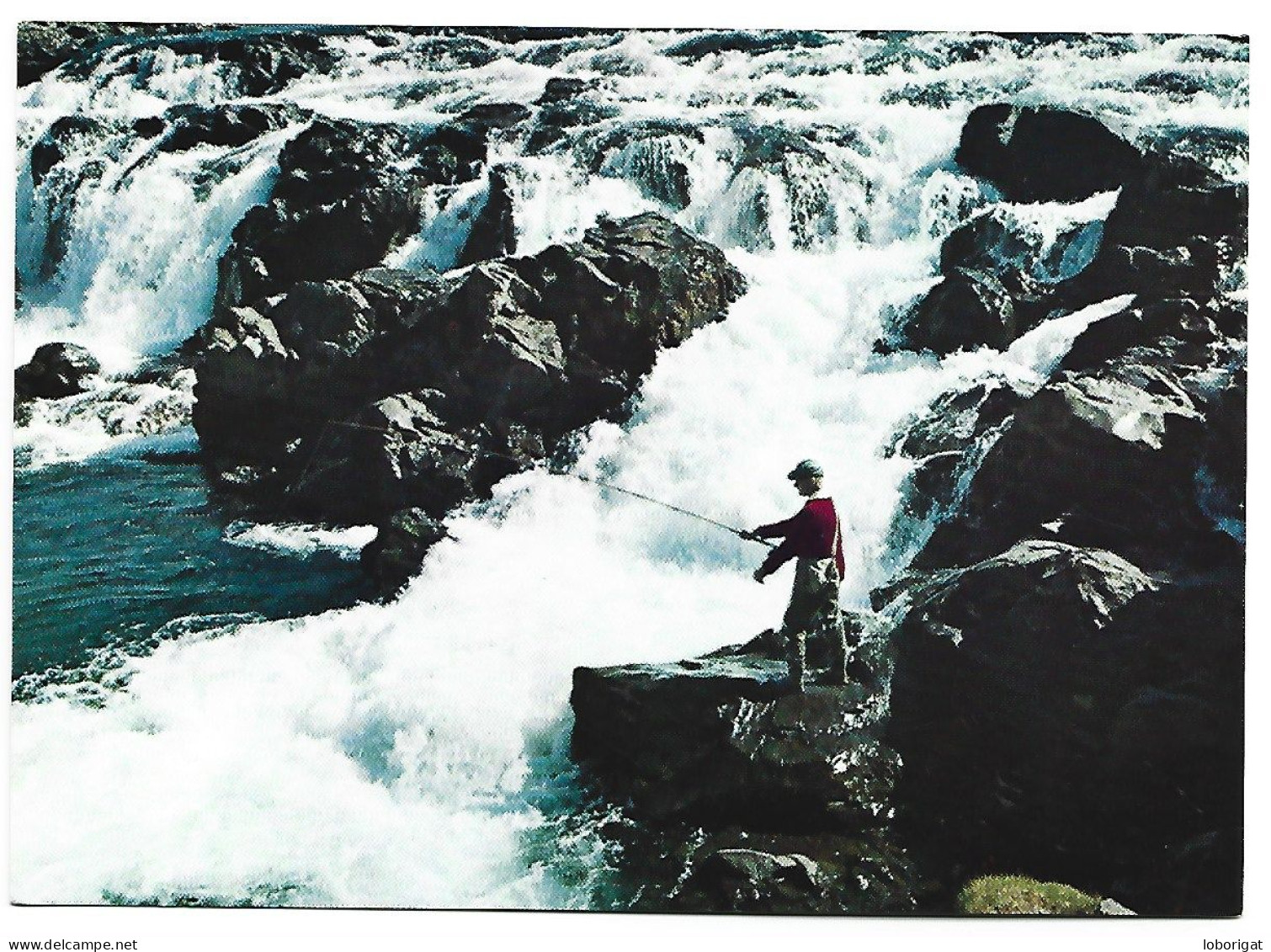 SALMON-FISHING IN THE RIVER.- LAXA I KJOS.-  ICELAND.- ( ISLANDIA ) - Islande