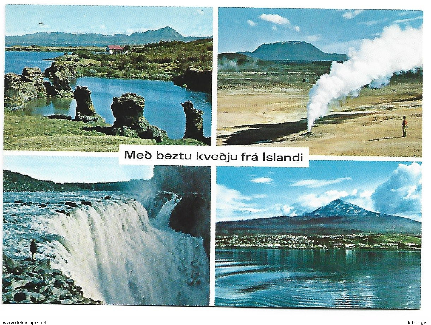 MEO BEZTU KVEOJU FRA ISLANDI.-  ICELAND.- ( ISLANDIA ) - Islande