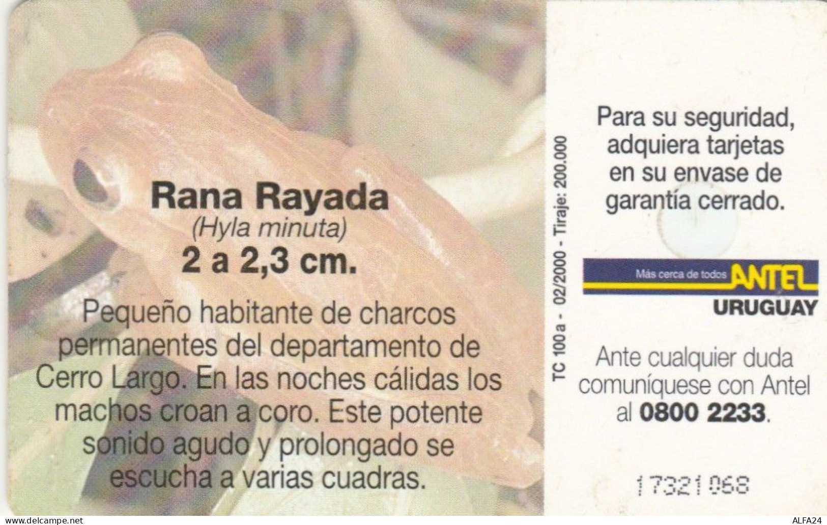 PHONE CARD URUGUAY (E73.26.8 - Uruguay