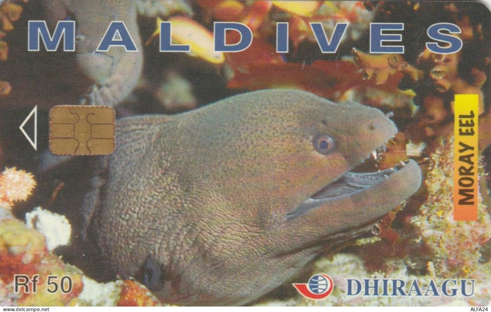 PHONE CARD MALDIVE (E73.20.5 - Maldiven