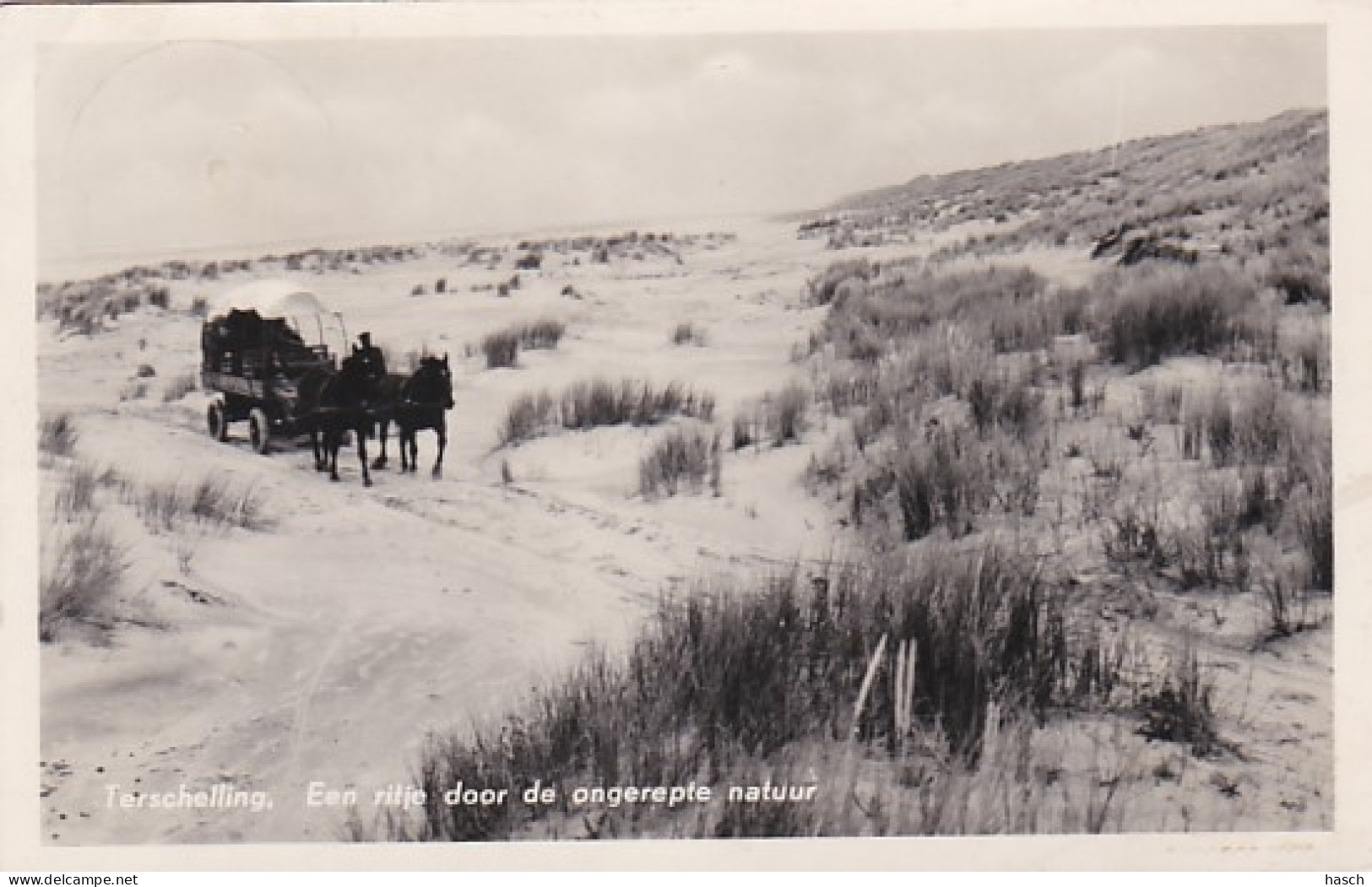 48789Terschelling, Een Ritje Door De Ongerepte Natuur.  - Terschelling