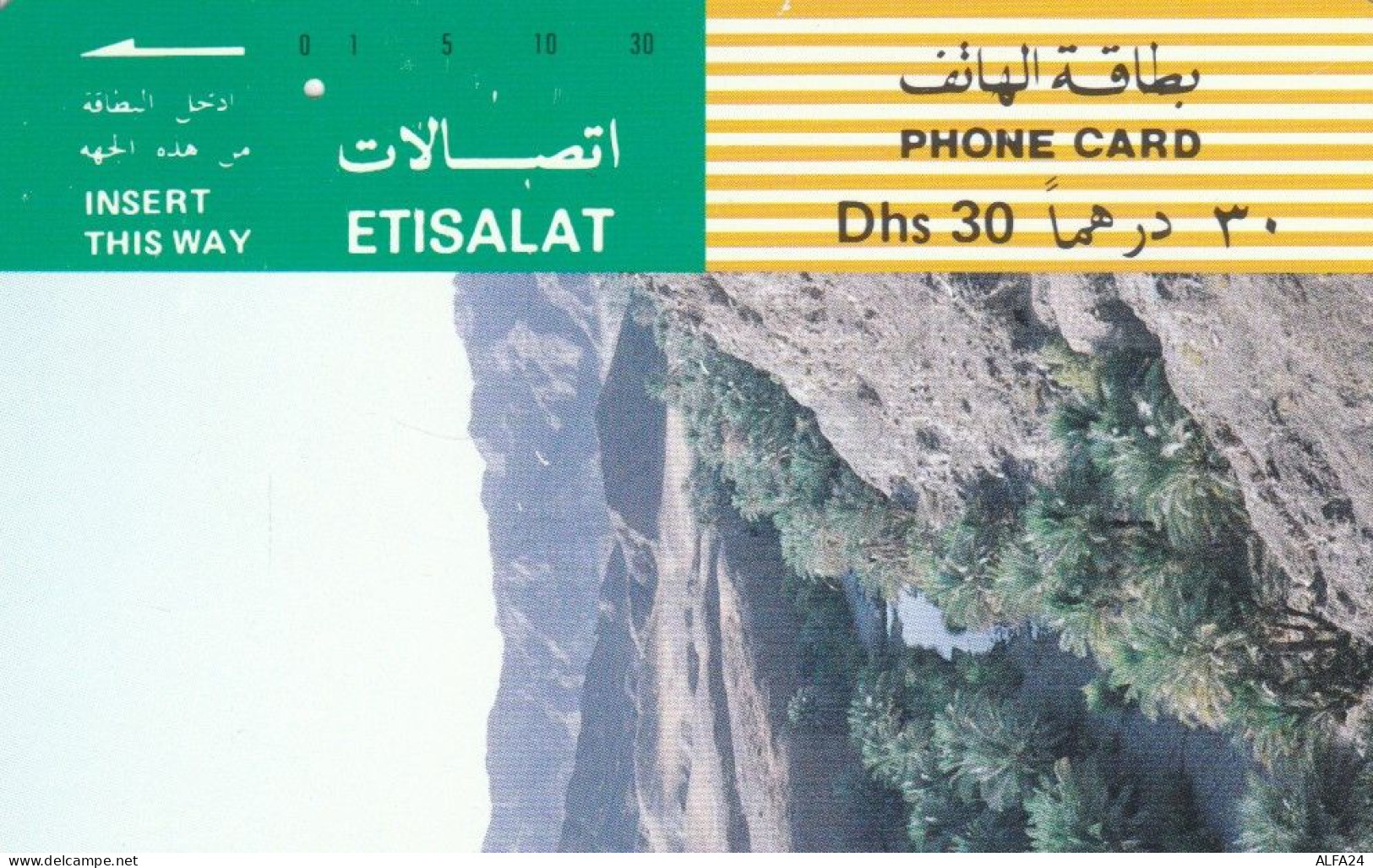 PHONE CARD EMIRATI ARABI (E74.30.7 - Emirats Arabes Unis