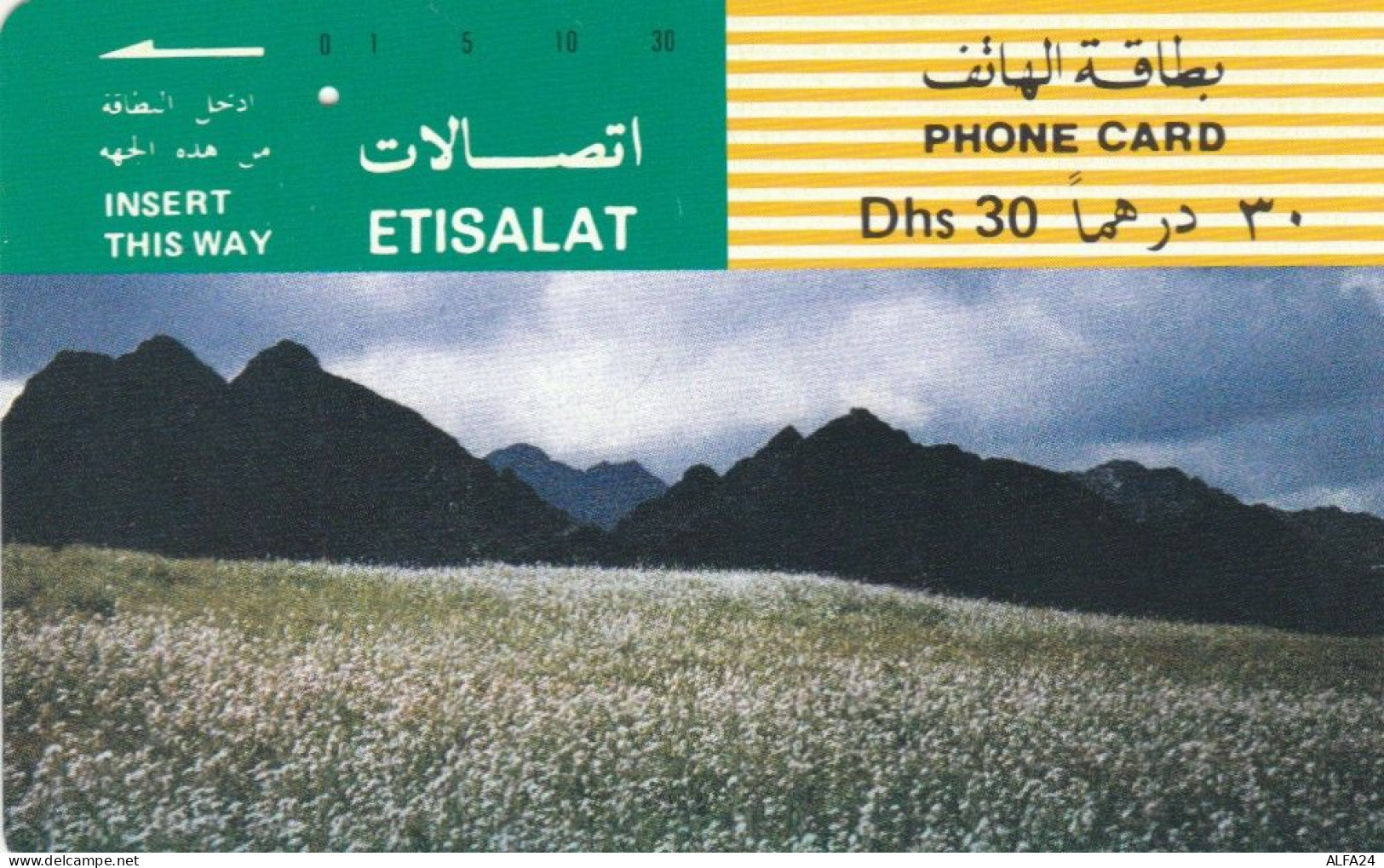 PHONE CARD EMIRATI ARABI (E74.30.6 - Emirats Arabes Unis