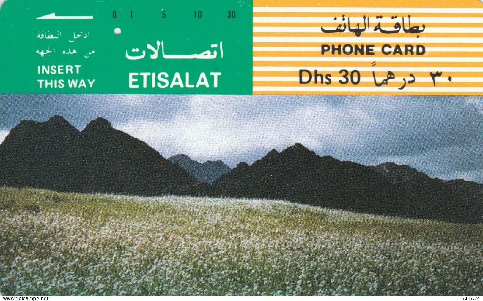 PHONE CARD EMIRATI ARABI (E74.29.7 - Ver. Arab. Emirate