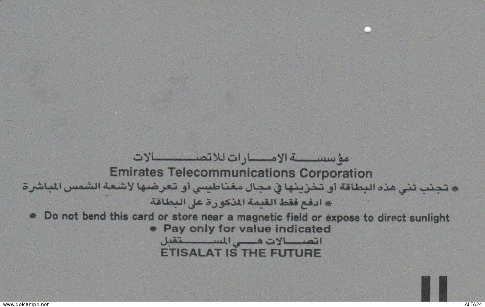 PHONE CARD EMIRATI ARABI (E74.29.5 - Emirats Arabes Unis