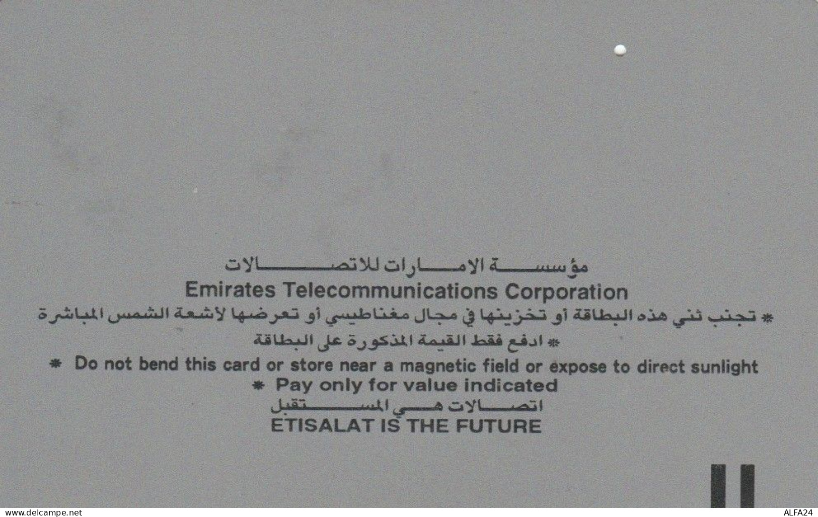 PHONE CARD EMIRATI ARABI (E74.29.5 - Ver. Arab. Emirate