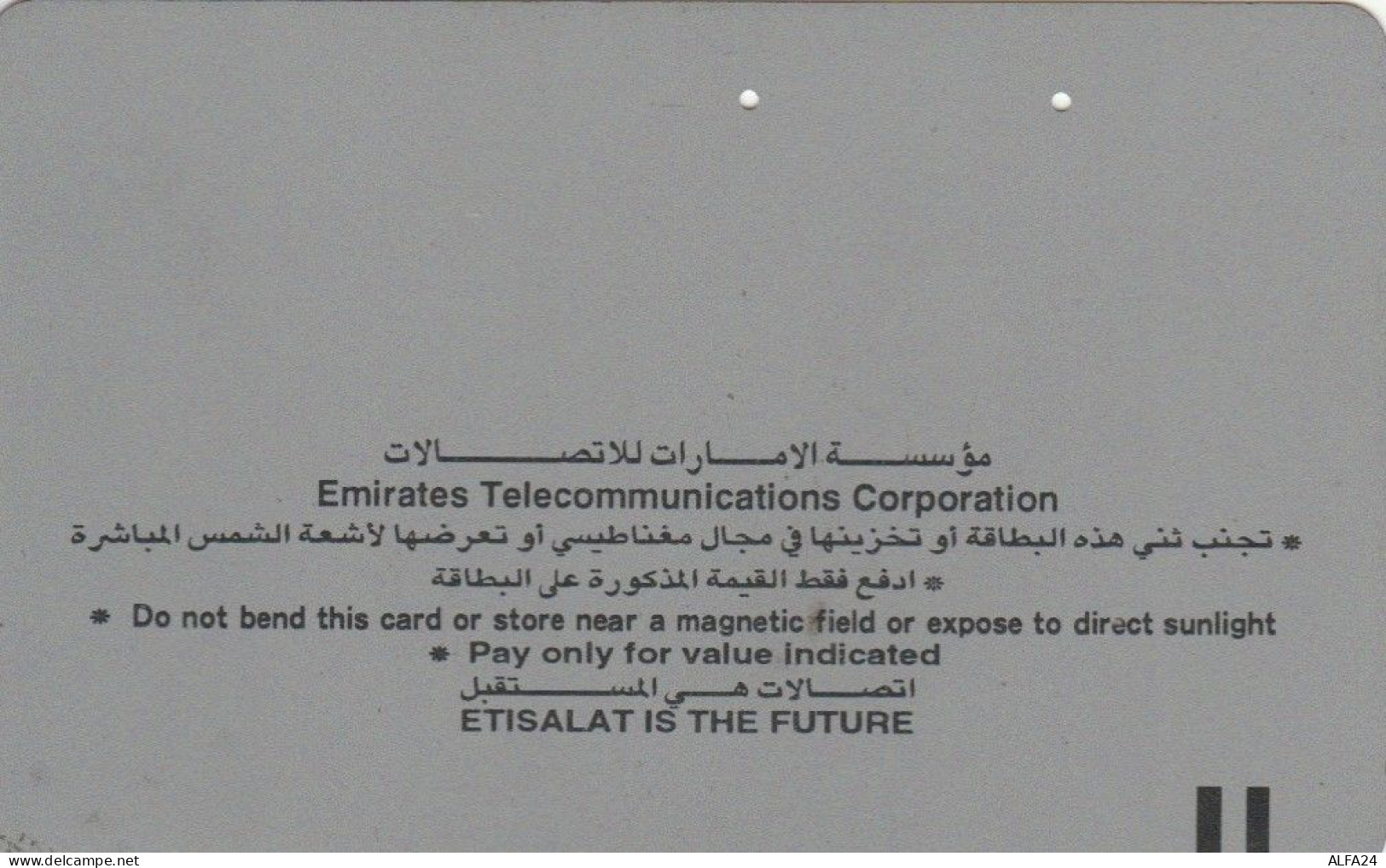 PHONE CARD EMIRATI ARABI (E74.29.1 - Ver. Arab. Emirate