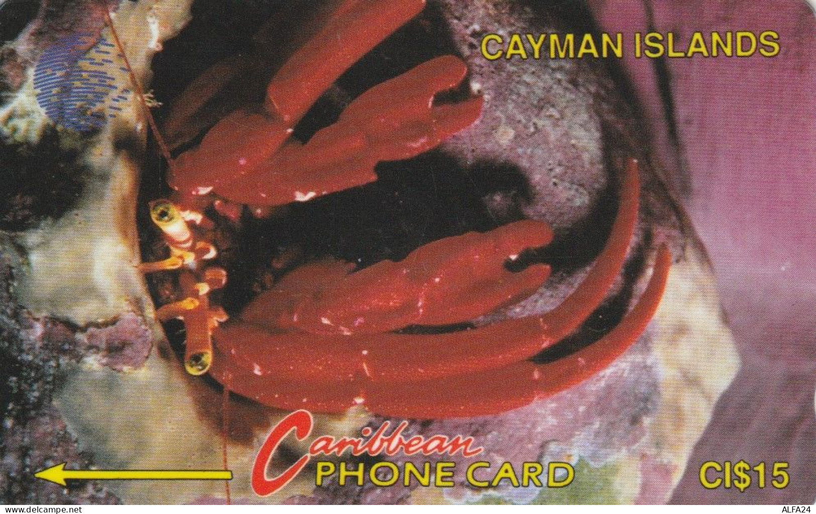 PHONE CARD CAYMAN ISLANDS (E75.3.7 - Iles Cayman