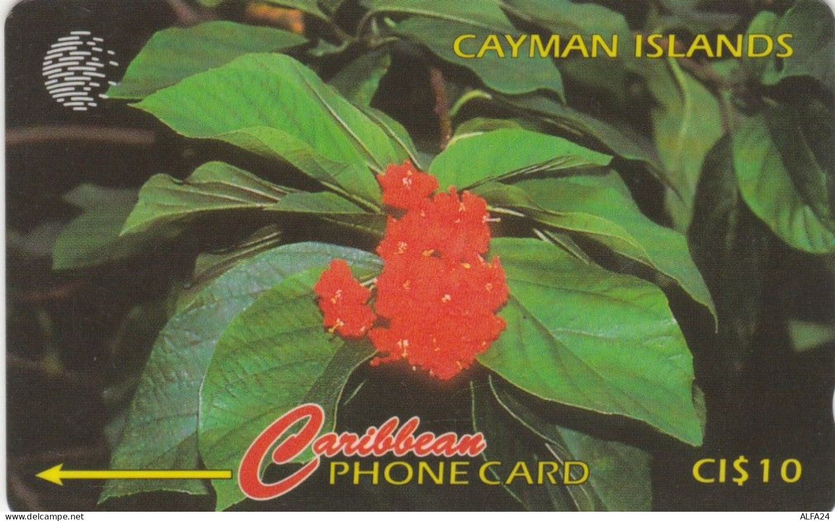 PHONE CARD CAYMAN ISLANDS (E75.2.8 - Kaaimaneilanden