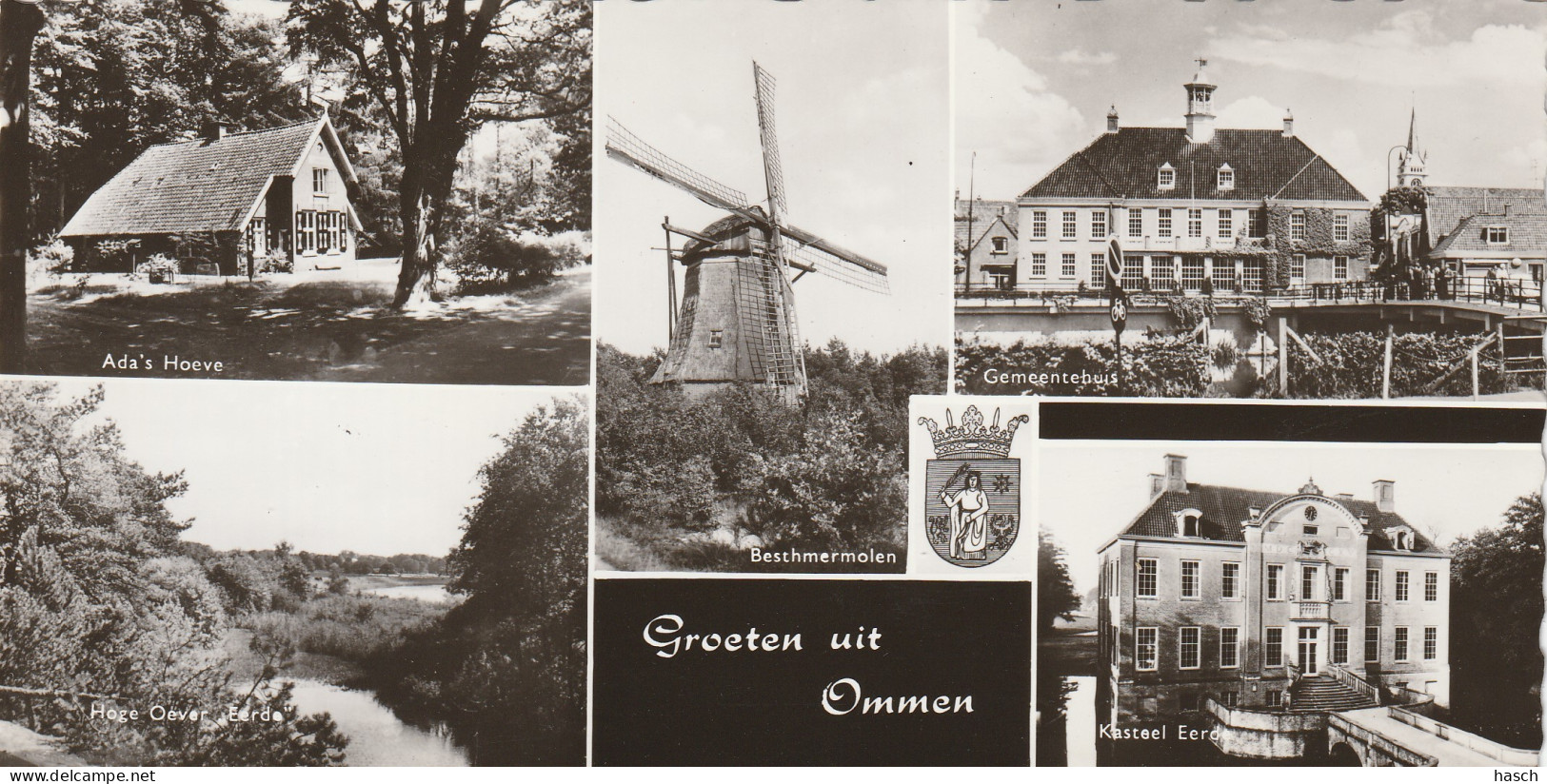 4905 1 Groeten Uit Ommen. (Fotokaart 18 X 9 Cm.)  - Ommen