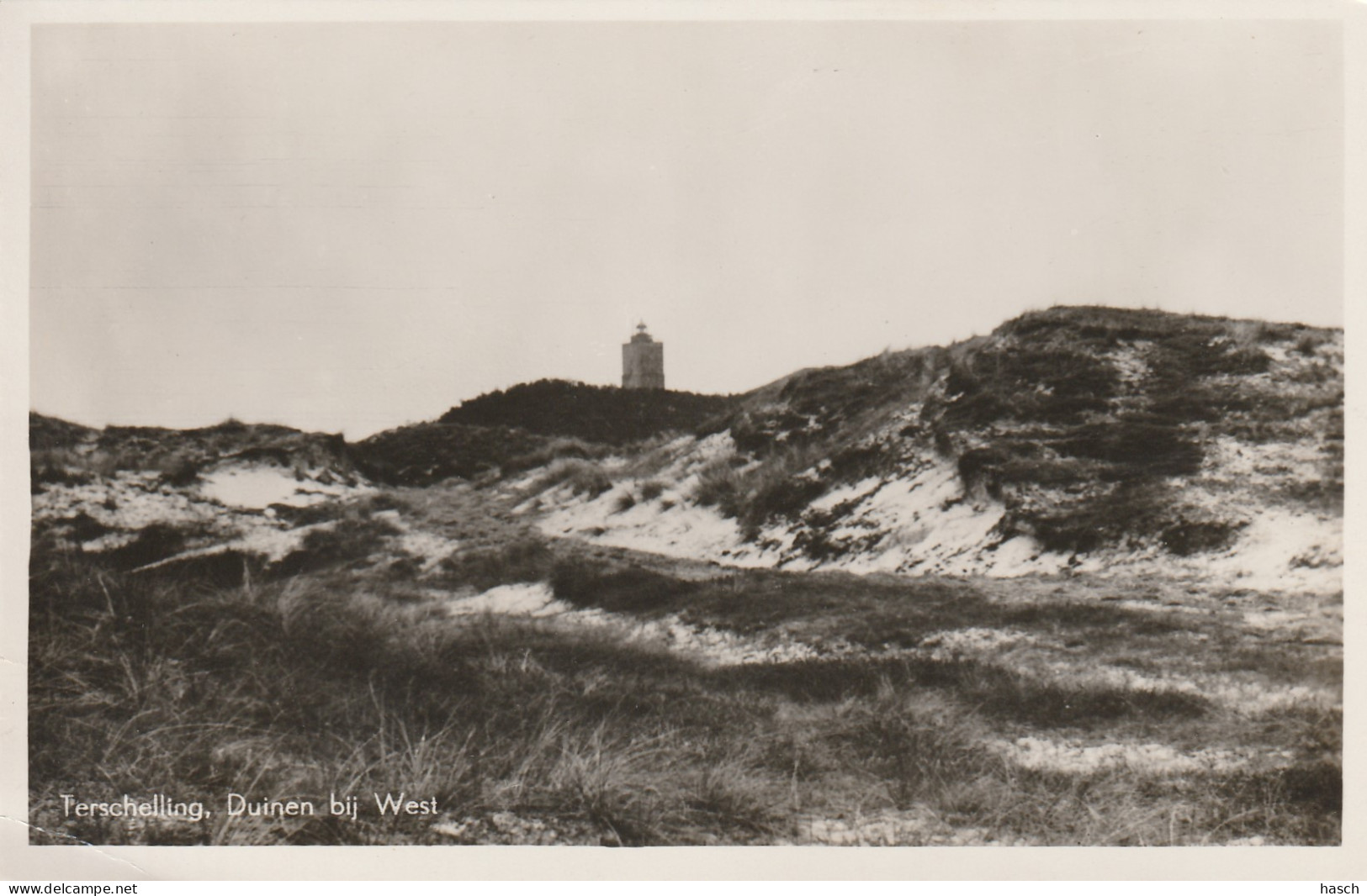 4905 35 Terschelling, Duinen Bij West. (Fotokaart) (Linksonder Een Vouwtje Zie Achterkant)  - Terschelling