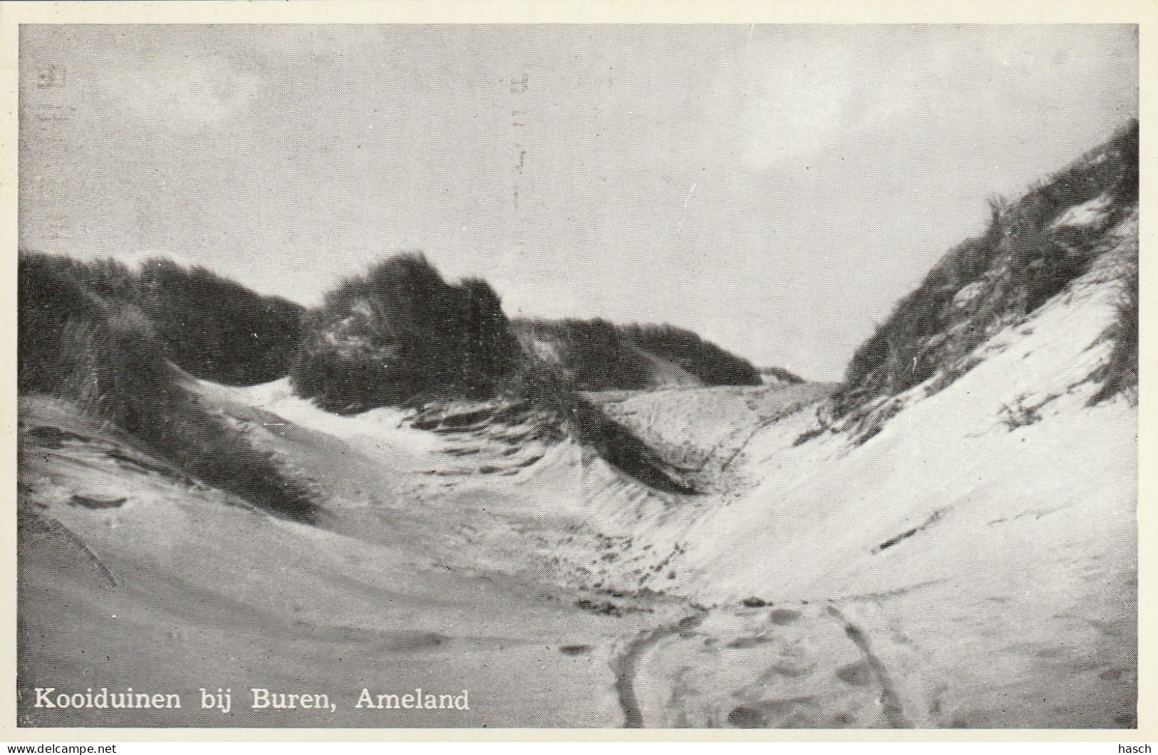 4905 37 Ameland, Kooiduinen Bij Buren.   - Ameland