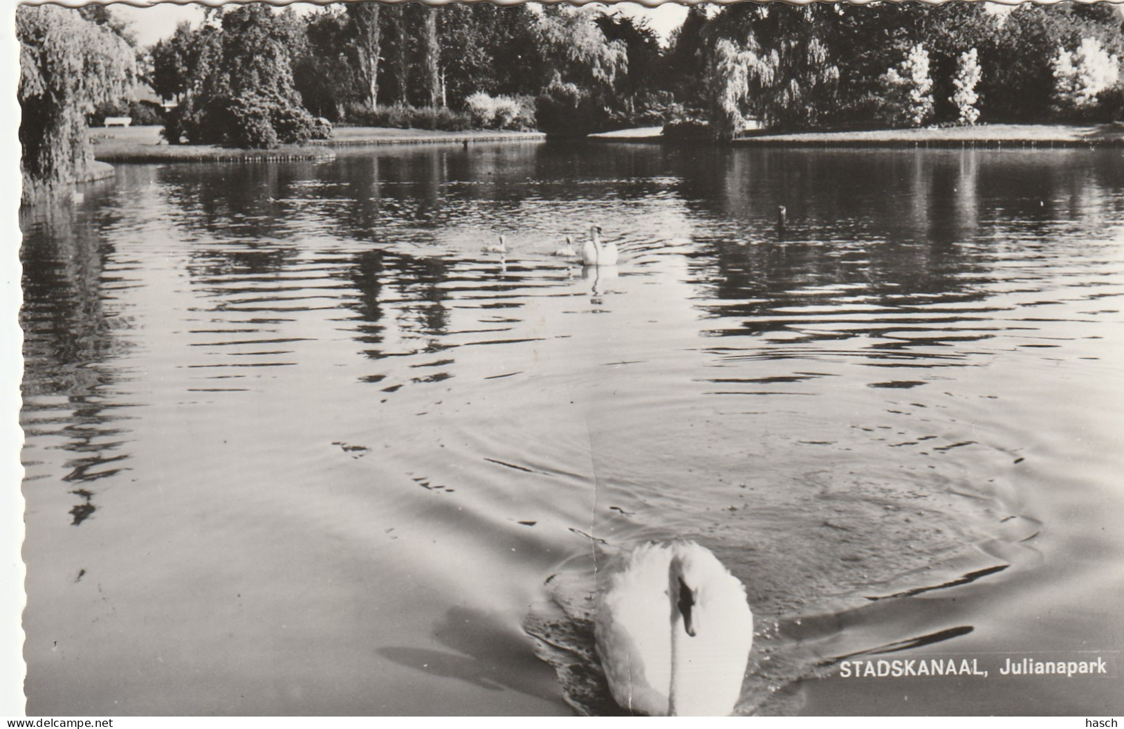 4905 165 Stadskanaal, Julianapark. (Fotokaart.) (In Het Midden Een Vouw.)  - Stadskanaal