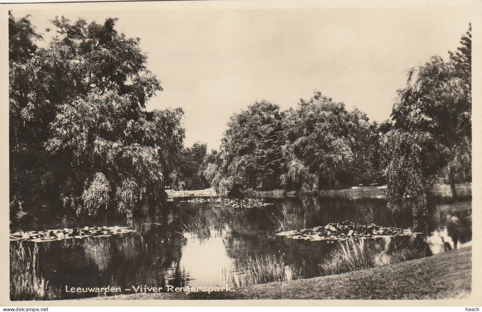 4905 314 Leeuwarden, Vijver Rengerspark.   - Leeuwarden