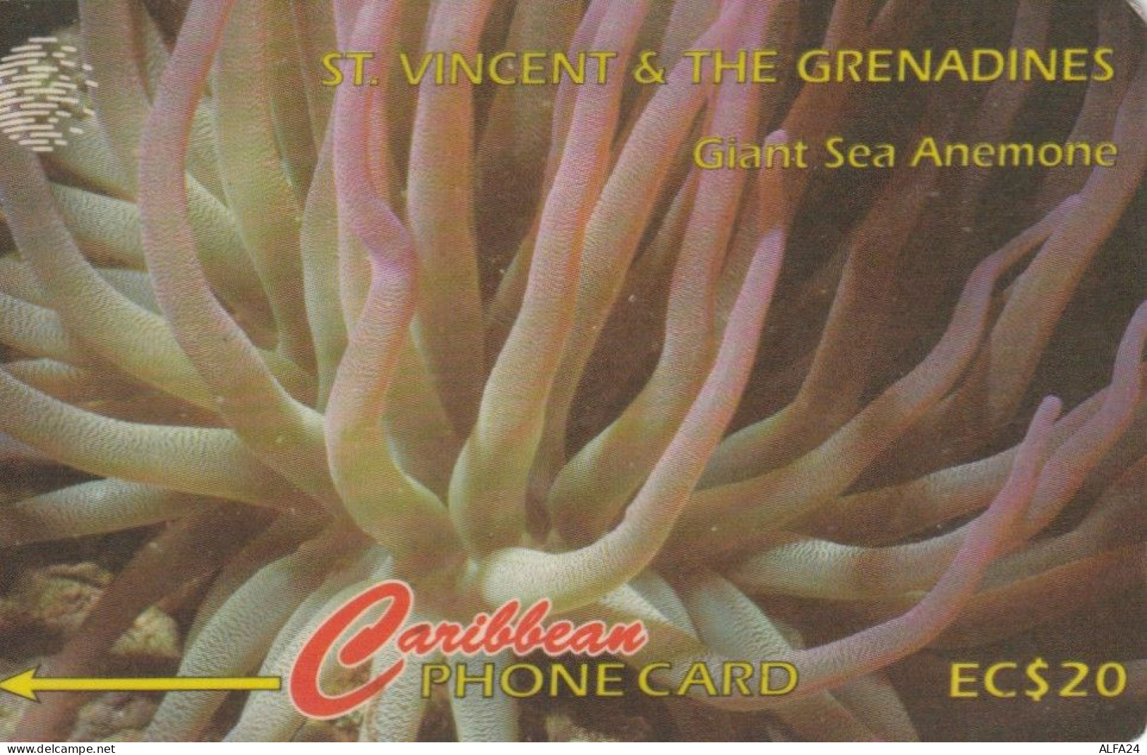 PHONE CARD ST. VINCENT (E78.43.1 - San Vicente Y Las Granadinas