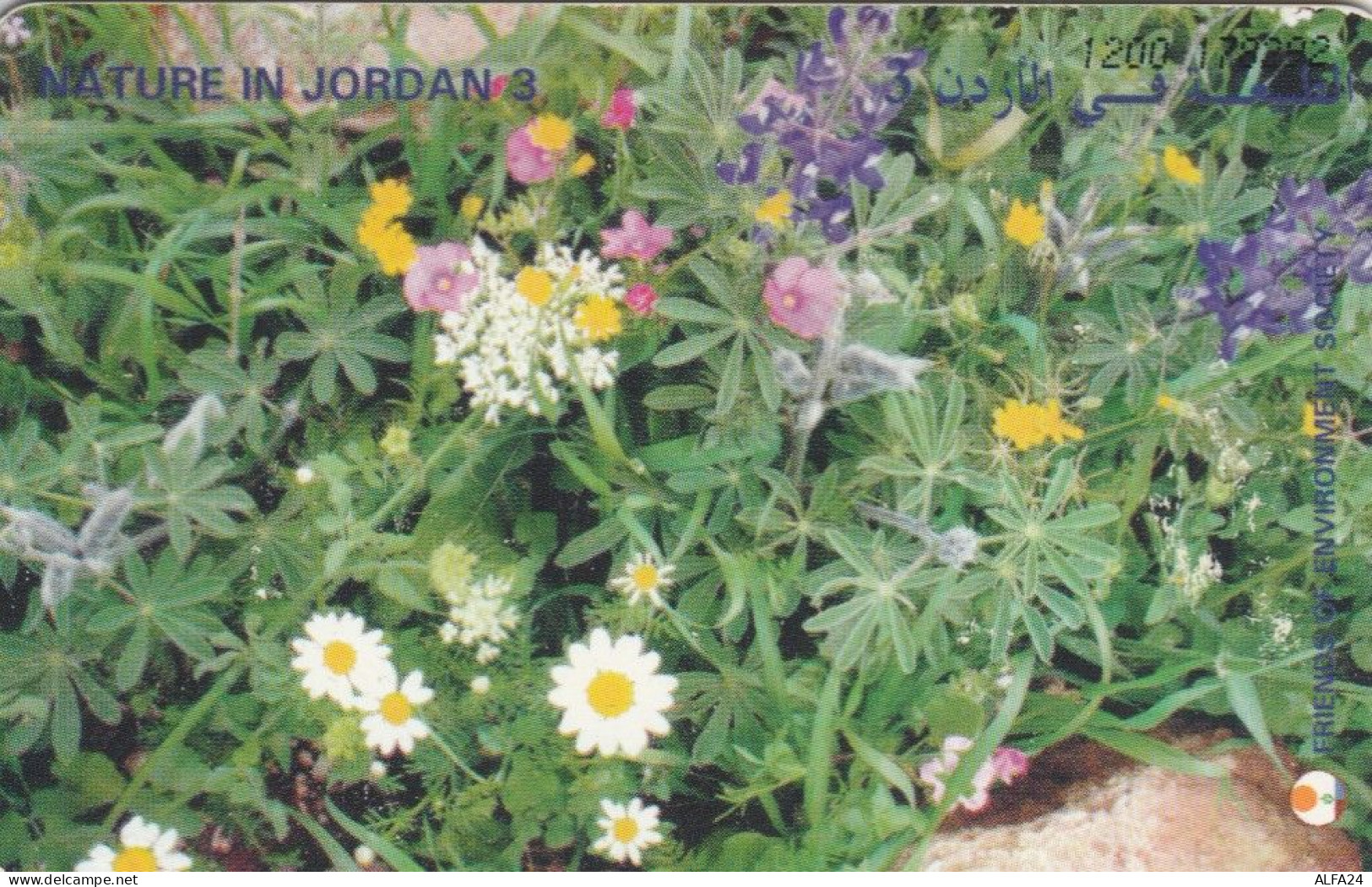 PHONE CARD GIORDANIA (E78.25.1 - Jordan