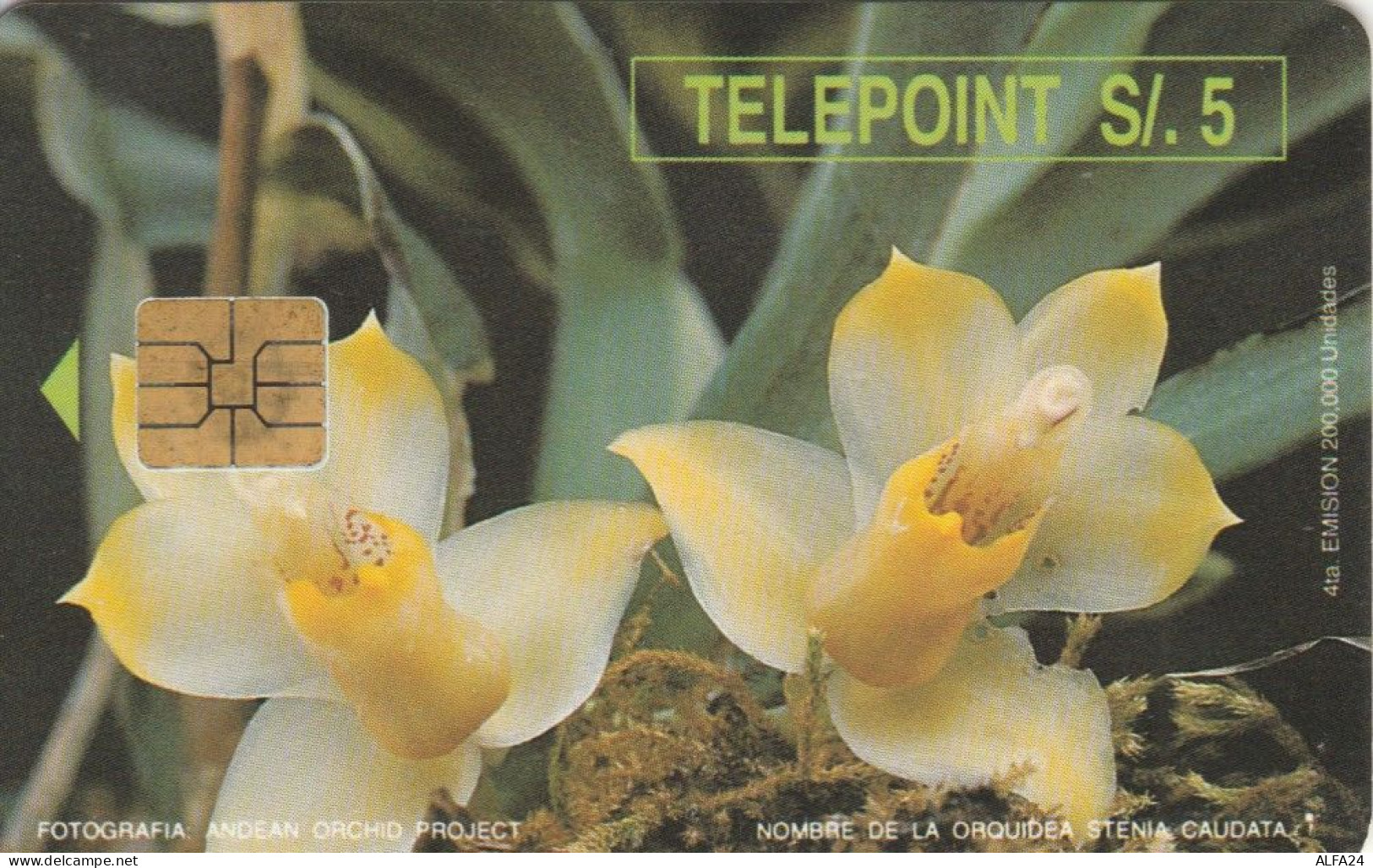 PHONE CARD PERU' (E78.22.3 - Peru