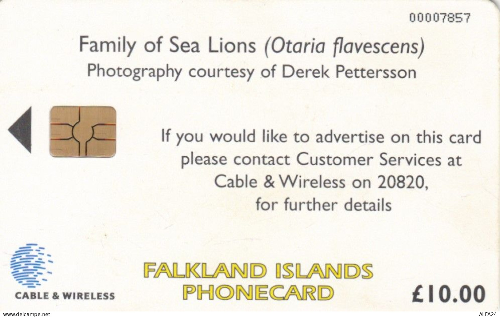 PHONE CARD FALKLAND (E78.16.8 - Falkland