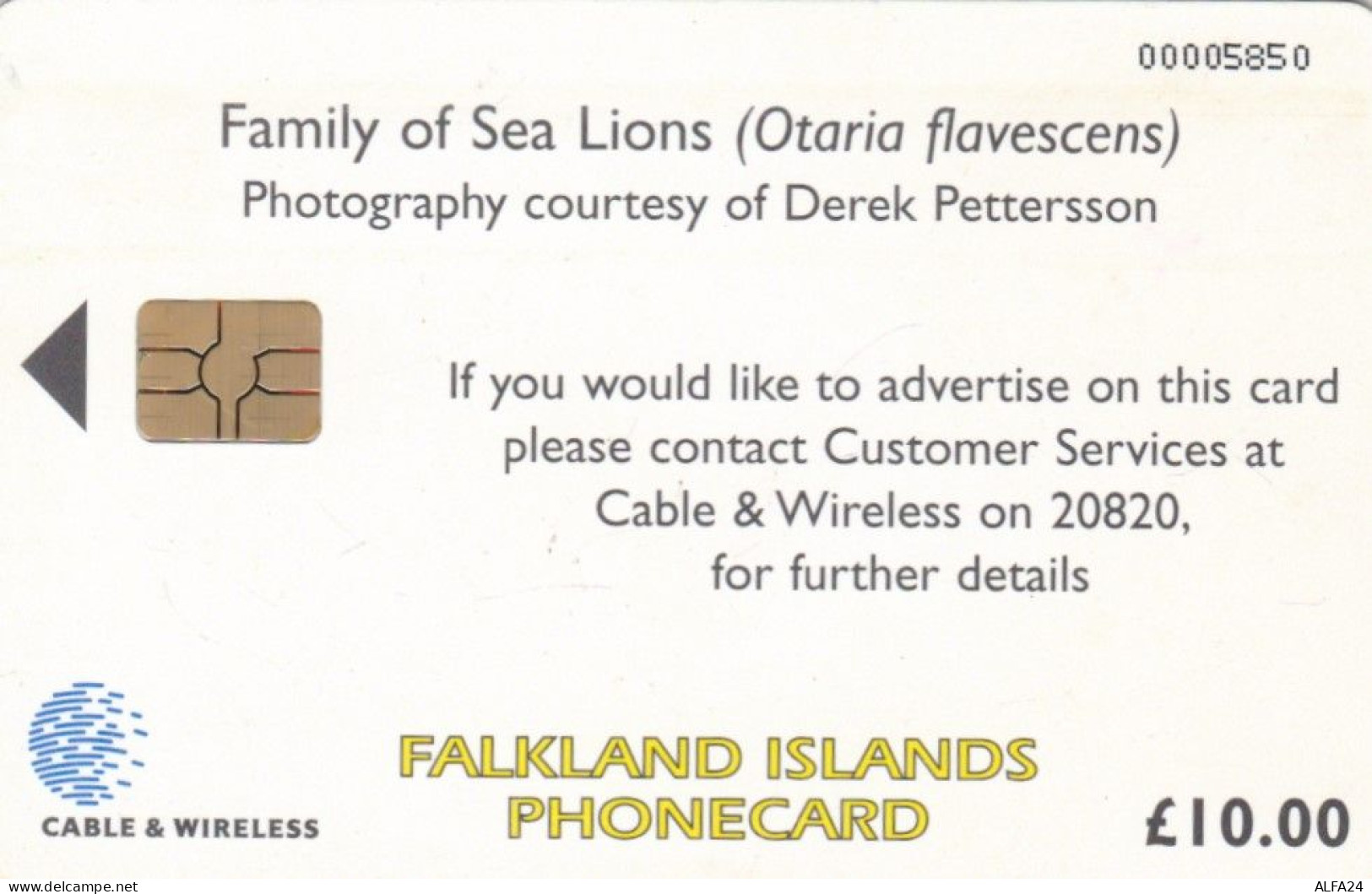 PHONE CARD FALKLAND (E79.21.4 - Falkland