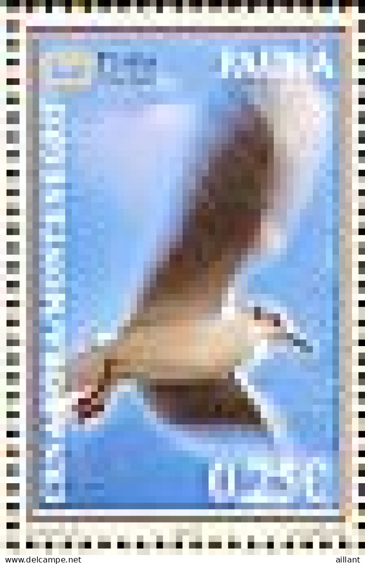 Montenegro. 2007. Mouette Rieuse.  Black-headed Gull - Meeuwen
