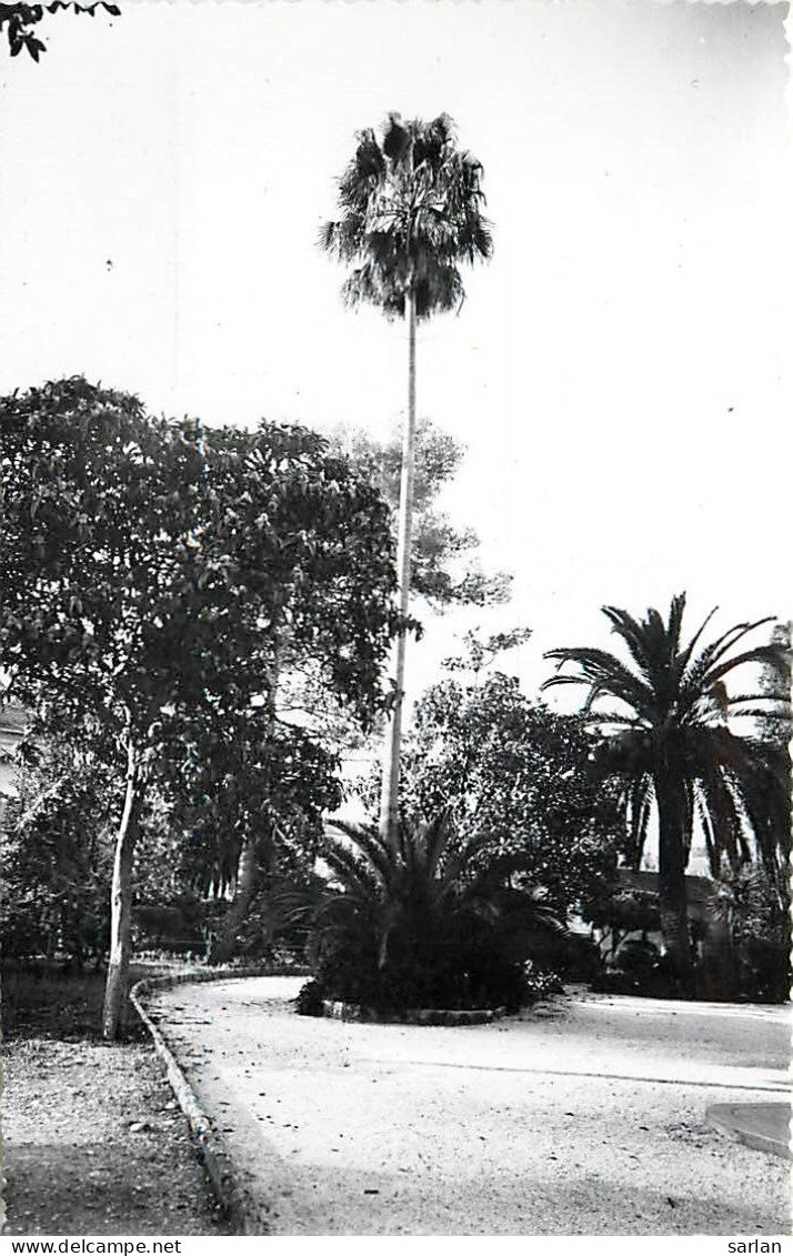 06 , NICE , FOYER SAINT DOMINIQUE , Maison De Repos , * 397 80 - Gesundheit, Krankenhäuser