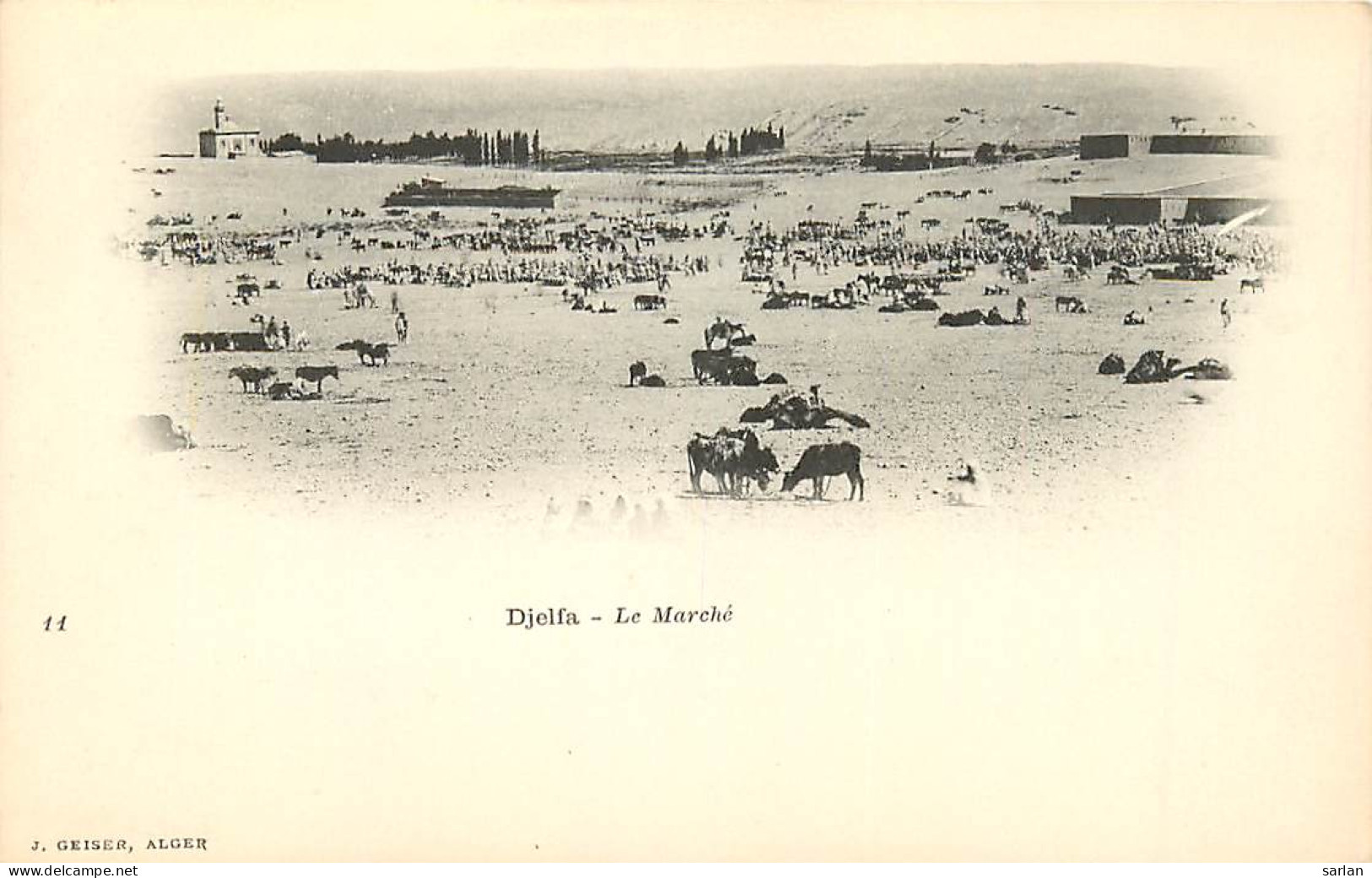 ALGERIE , DJELFA , Le Marché , Edition Geiser , * 402 27 - Djelfa