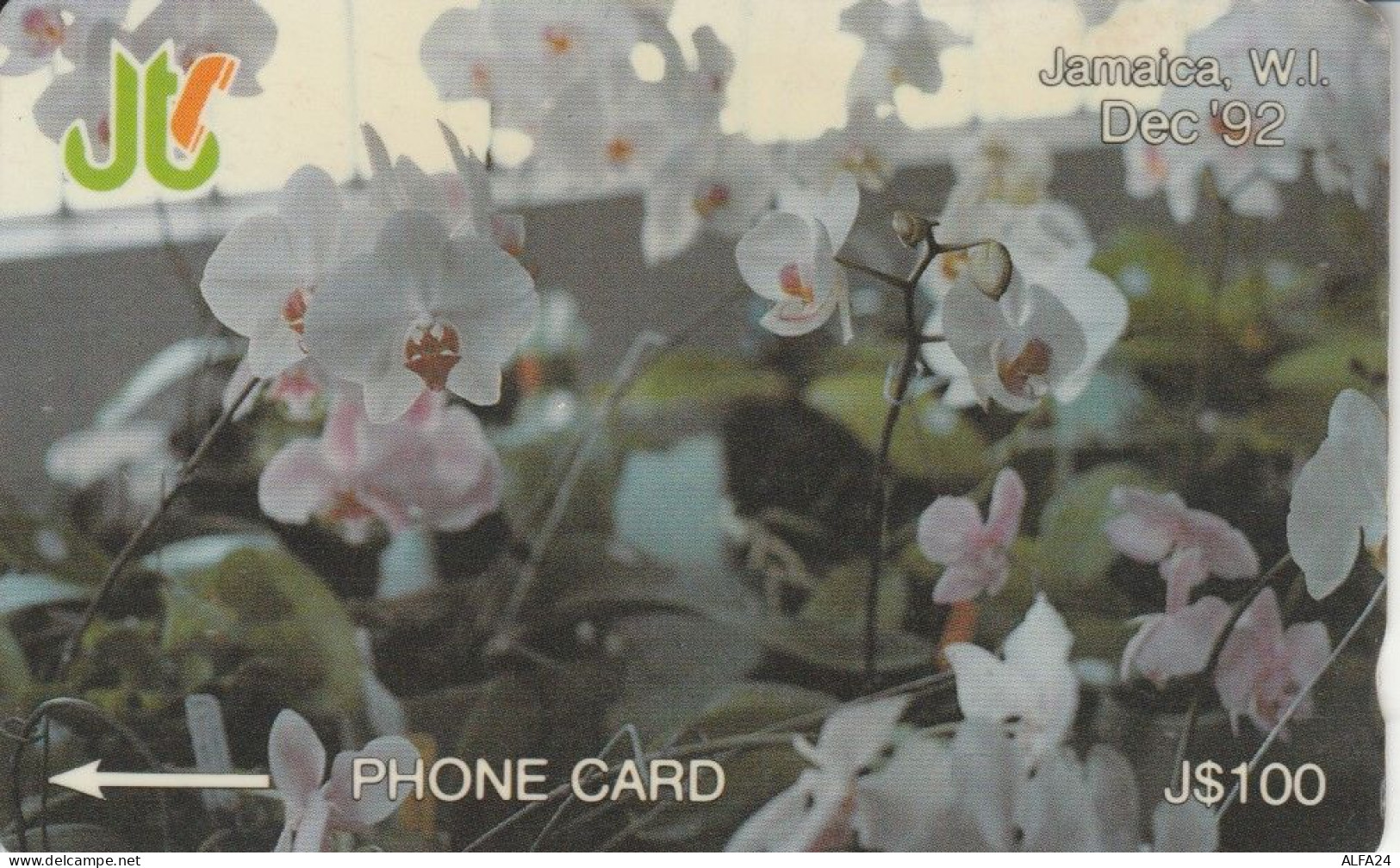 PHONE CARD GIAMAICA (E82.16.1 - Giamaica